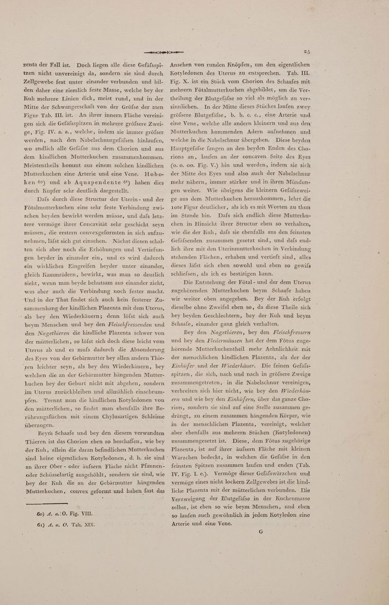 zenta der Fall ist. Doch liegen alle diese Gefäfsspi- tzen nicht unvereinigt da, sondern sie sind durch Zellgewebe fest unter einander verbunden und bil- den daher eine ziemlich feste Masse, welche bey der Kuh mehrere Linien dick, meist rund, und in der Mitte der Schwangerschaft von der Gröfse der 2ten Figur Tab. II. ist. gen sich die Gefälsspitzen in mehrere gröfsere Zwei- An ihrer innern Fläche vereini- ge, Fig. IV. a. a, welche, indem sie immer grölser werden, nach den Nabelschnurgefäfsen hinlaufen, wo endlich alle Gefälse aus dem Chorion und aus dem kindlichen Mutterkuchen zusammenkommen. Meistentheils kommt aus einem solchen kindlichen Hobo- ken 60%) und ab Aquapendente 6) haben dies Mutterkuchen eine Arterie und eine Vene. durch Kupfer sehr deutlich dargestellt. Dafs durch diese Structur der Uterin- und der Fötalmutterkuchen eine sehr feste Verbindung zwi- schen beyden bewirkt werden musse, und dafs letz- tere vermöge ihrer Concavität sehr geschickt seyn müssen, die erstern convexgeformten in sich aufzu- nehmen, läfst sich gut einsehen. Nächst diesen schal- ten sich aber noch die Erhöhungen und Vertiefun- gen. beyder in einander ein, und es wird dadurch ein wirkliches Eingreifen beyder unter einander, gleich fammrädern, bewirkt, was man so deutlich sieht, wenn man beyde behutsam aus einander zicht, was aber auch die Verbindung noch fester macht. ‘Und in der That findet sich auch kein festerer Zu- sammenhang der kindlichen Plazenta mit dem Uterus, ‘als bey den Wiederkäuern; denn löfst sich auch beym Menschen und bey den Fleischfressenden und den Nagethieren die kindliche Plazenta schwer von der mütterlichen, so löfst sich doch diese leicht vom Uterus ab und es mufs dadurch die Absonderung des Eyes von der Gebärmutter bey allen andern Thie- ‘ren leichter seyn, als bey den Wiederkäuern, bey welchen die an der Gebärmutter hängenden Mutter- kuchen bey der Geburt nicht mit abgehen, sondern im Uterus zurückbleiben und allmählich einschrum- pfen. Trennt man die kindlichen Kotyledonen von den mütterlichen, so findet man ebenfalis ihre Be- rührungsflächen mit einem Chylusartigen Schleime überzogen. | Beym Schaafe und bey den diesem verwandten Thieren ist das Chorion eben so beschafien, wie bey der Kuh, allein die daran befindlichen Mutterkuchen an ihrer Ober - oder äufsern Fläche nicht Pfannen - oder Schüsselartig ausgehöhlt, sondern sie sind, wie bey der Kuh die an der Gebärmutter hängenden Mutterkuchen, convex geformt und haben fast das “ ‘ 60) A. a..0. Fig. VII. 61) A. a. ©. Tah, MX. Ansehen von runden Knöpfen, um den eigentlichen Tab: BL Fig. X. ist ein Stück vom Chorion des. Schaafes mit Kotyledonen des Uterus zu entsprechen. mehrern Fötalmutterkuchen abgebildet, um die Ver- theilung der Blutgefäfse so viel als möglich zu ver- sinnlichen. In der Mitte dieses Stückes laufen zwey grölsere Blutgefäfse, b. b. c. c., eine Arterie und eine Vene, welche alle andern kleinern und aus den Mutterkuchen kommenden Adern aufnehmen und welche in die Nabelschnur übergehen. Diese beyden | Hauptgefälse fangen an den beyden Enden des Cho- rions an, laufen an der concaven Seite des Eyes (0.0. 00. Fig. V.) hin und werden, indem sie sich der Mitte des Eyes und also auch der Nabelschnur mehr nähern, immer stärker und in ihren Mündun- gen weiter. Wie übrigens die kleinern Gefäfszwei- ge aus dem Mutterkuchen herauskommen, lehrt die ıote Figur deutlicher, als ich es mit Worten zu thun im Stande bin. Dafs sich endlich diese Mutterku- chen in Hinsicht ihrer Structur eben so verhalten, wie die der Kuh, dafs sie ebenfalls aus den feinsten Gefäfsenden zusammen gesetzt sind, und dals end- lich ihre mit den Üterinmutterkuchen in Verbindung stehenden Flächen, erhaben und vertieft sind, alles dieses läfst sich eben sowohl und eben so gewils schliefsen, als ich es bestätigen kann. Die Entstehung der Fötal- und der dem Uterus zugehörenden Mutterkuchen beym Schaafe haben wir weiter oben angegeben. Bey der Kuh erfolgt dieselbe ohne Zweifel eben so, da diese Theile sich bey beyden Geschlechtern, bey der Kuh und beym Schaafe, einander ganz gleich verhalten. Bey den Nagethieren, bey den Fleischfressern und bey den Fledermäusen hat der dem Fötus zuge- hörende Mutterkuchentheil mehr Aehnlichkeit mit der menschlichen kindlichen Plazenta, als der der Einhüfer und der Wiederkäuer. Die feinen Gefäfs- spitzen, die sich, nach und nach in gröfsere Zweige zusammengetreten, in die Nabelschnur vereinigen, verbreiten sich hier nicht, wie bey den Wiederkäu- ern und wie bey den Einhüfern, über das ganze Cho- rion, sondern sie sind auf eine Stelle zusammen ge- drängt, zu einem zusammen hängenden Körper, wie in der menschlichen Plazenta, vereinigt, welcher aber ebenfalls aus mehrern Stücken (Kotyledonen) zusammengesetzt ist. Diese, dem Fötus zugehörige Plazenta, ist auf ihrer äufsern Fläche mit kleinen Wärzchen bedeckt, in welchen die Gefälse in den feinsten Spitzen zusammen laufen und enden (Tab. IV. Fig. 1. e.). vermöge eines nicht lockern Zellgewebes ist die kind- Vermöge dieser Gefälswärzchen und liche Plazenta mit der mütterlichen verbunden. Die Verzweigung der Blutgefäfse in der Kuchenmasse selbst, ist eben so wie beym Menschen, und eben so laufen auch gewöhnlich in jedem Kotyledon eine Arterie und. eine Vene. | G