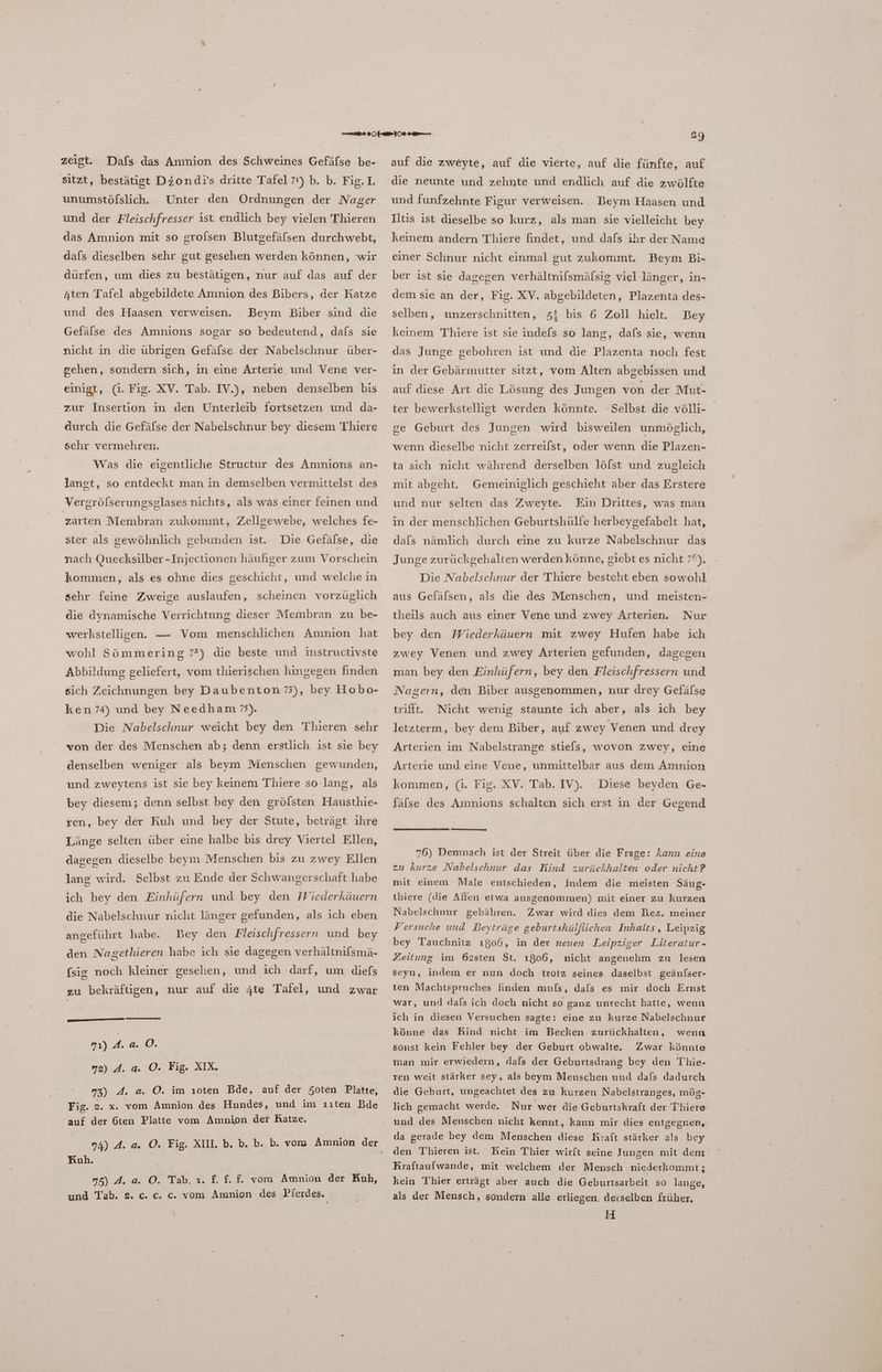 ve zeigt. Dafs das Amnion des Schweines Gefäfse be- sitzt, bestätigt Dzondi’'s dritte Tafel 7') b. b. Fig. I. unumstöfslich. Unter den Ordnungen der Nager und der Fleischfresser ist endlich bey vielen Thieren das Amnion mit so grolsen Blutgefäfsen durchwebt, dafs dieselben sehr gut gesehen werden können, wir dürfen, um dies zu bestätigen, nur auf das auf der 4ten Tafel abgebildete Amnion des Bibers, der Katze und des Haasen verweisen. Beym Biber sind die Gefälse des Amnions sogar so bedeutend, dafs sie nicht in die übrigen Gefäfse der Nabelschnur über- sehen, sondern sich, in eine Arterie. und Vene ver- einigt, (1. Fig. XV. Tab. IV.), neben denselben bis zur Insertion in den Unterleib fortsetzen und da- durch die Gefäfse der Nabelschnur bey diesem Thiere sehr vermehren. Was die eigentliche Structur des Anmions an- langt, so entdeckt man in demselben vermittelst des Vergröfserungsglases nichts, als was einer feinen und zarten Membran zukommt, Zellgewebe, welches fe- Die Gefäfse, die nach Quecksilber -Injectionen häufiger zum Vorschein ster als gewöhnlich gebunden 1st. kommen, als es ohne dies geschieht, und welche in sehr feine Zweige auslaufen, scheinen vorzüglich die dynamische Verrichtung dieser Membran zu be- werkstelligen. — Vom menschlichen Amnion hat wohl Sömmering 7?) die beste und instructivste Abbildung geliefert, vom thierischen hingegen finden sich Zeichnungen bey Daubenton 73), bey Hobo- ken74) und bey Needham 5). Die Nabelschnur weicht bey den Thieren sehr von der des Menschen ab; denn erstlich ist sie bey denselben weniger als beym Menschen gewunden, und zweytens ist sie bey keinem Thiere so-Jang, als bey diesem; denn selbst bey den grölsten Hausthie- ren, bey der Kuh und bey der Stute, beträgt ıhre Länge selten über eine halbe bis drey Viertel Ellen, dagegen dieselbe beym Menschen bis zu zwey Ellen lang wird. Selbst zu Ende der Schwangerschaft habe ich bey den Einhüfern und bey den Wiederkäuern die Nabelschnur nicht länger gefunden, als ich eben angeführt habe. Bey den Fleischfressern und bey den Nagethieren habe ich sie dagegen verhältnifsmä- (sig noch kleiner gesehen, und ich darf, um diefs zu bekräftigen, nur auf die 4te Tafel, und zwar m1) A. a. O. me) A. a. O. Fig. AIX. 3). d. a. Ö. im ıoten Bde, auf der 5oten Platte, Fig. o.x. vom Amnion des Hundes, und im ııten Bde auf der G6ten Platte vom Amnion der Ratze. Kuh. 75), 40 ©. Tad,n. ET. f. vom Amnion der Kuh, und Tab. 2. c. c. c. vom Amnion des Pferdes. auf die zweyte, auf die vierte, auf die fünfte, auf und funfzehnte Figur verweisen. Beym Haasen und Dtis ist dieselbe so kurz, als man sie vielleicht bey keinem andern Thiere findet, und dafs ihr der Nama einer Schnur nicht einmal gut zukommt. Beym Bi- ber ist sie dagegen verhältnifsmäfsig viel länger, in- dem sie an der, Fig. XV. abgebildeten, Plazenta des- selben, unzerschnitten, 5! bis 6 Zoll hielt. Bey keinem Thiere ist sie indels so lang, dafs sie, wenn das Junge gebohren ist und die Plazenta noch fest in der Gebärmutter sitzt, vom Alten abgebissen und auf diese Art die Lösung des Jungen von der Mut- Selbst die völli- ge Geburt des Jungen wird bisweilen unmöglich, ter bewerkstellist werden könnte. wenn dieselbe nicht zerreilst, oder wenn die Plazen- ta sich nicht während derselben löfst und zugleich mit abgeht. Gemeiniglich geschieht aber das Erstere und nur selten das Zweyte. Ein Drittes, was man in der menschlichen Geburtshülfe herbeygefabelt hat, dafs nämlich durch eine zu kurze Nabelschnur das Junge zurückgehalten werden könne, giebt es nicht 79), Die Nabelschnur der Thiere besteht eben sowohl aus Gefälsen, als die des Menschen, und meisten- Nur bey den Wiederkäuern mit zwey Hufen habe ich theils auch aus einer Vene und zwey Arterien, zwey Venen und zwey Arterien gefunden, dagegen man bey den Einhüfern, bey den Fleischfressern und Nagern, den Biber ausgenommen, nur drey Gefälse trifitt. Nicht wenig staunte ich aber, als ich bey letzterm, bey dem Biber, auf zwey Venen und drey Arterien im Nabelstrange stie[s, wovon zwey, eine Arterie und eine Vene, unmittelbar aus dem Amnion kommen, (i. Fig. XV. Tab. IV). Diese beyden Ge- fäafse des Amnions schalten sich erst in der Gegend 76) Demnach ist der Streit über die Frage: kann eine zu kurze Nabelschnur das Rind zurückhalten oder nicht? mit einem Male entschieden, indem die meisten Säug- thiere (die Allen etwa ausgenommen) mit einer zu kurzen Nabelschnur gebähren. Zwar wird dies dem Rez. meiner Versuche und Beyträge geburtshülflichen Inhalts, Leipzig bey Tauchnitz ı806, in der neuen Leipziger Literatur - Zeitung im 62sten St. 1806, nicht angenehm zu lesen seyn, indem er nun doch trotz seines daselbst geäufser- ten Machtspruches finden muls, dals es mir doch Ernst war, und dals ich doch nicht so ganz unrecht hatte, wenn ich in diesen Versuchen sagte: eine zu kurze Nabelschnur könne das Rind nicht im Becken zurückhalten, sonst kein Fehler bey der Geburt obwalte. Zwar könnte man mir erwiedern, dafs der Geburtsdrang bey den Thie- ren weit stärker sey, als beym Menschen und dafs dadurch die Geburt, ungeachtet des zu kurzen Nabelstranges, mög- lich gemacht werde. Nur wer die Geburtskraft der Thiere und des Menschen nicht kennt, kann mir dies entgegnen, da gerade bey dem Menschen diese Kraft stärker als bey den Thieren ist, Kein Thier wirft seine Jungen mit dem Kraftaufwande, mit welchem der Mensch niederkommt; kein Tier erträgt aber auch die Geburtsarbeit so lange, als der Mensch, sondern alle erliegen. derselben früher, [51 wenn