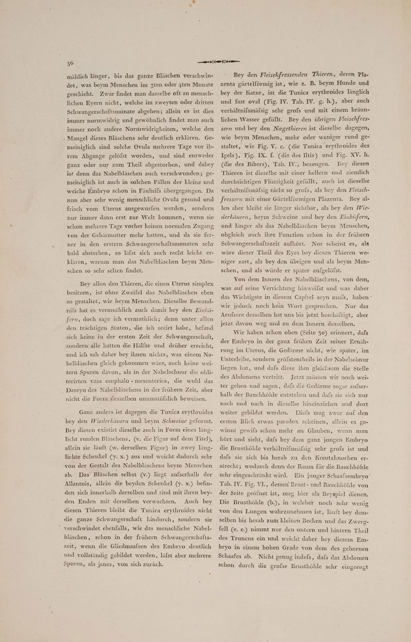 I mählich länger, bis das ganze Bläschen verschwin- det, was beym Menschen im 5ten oder 4ten Monate geschieht. Zwar findet man dasselbe oft an mensch- lichen Eyern nicht, welche im zweyten oder dritten Schwangerschaftsmonate abgehen; allein es ist dies immer normwidrig und gewöhnlich findet man auch immer noch andere Normwidrigkeiten, welche den . Mangel dieses Bläschens sehr deutlich erklären. Ge- meiniglich sind solche Ovula mehrere Tage vor ih- rem Abgange gelölst worden, und sind entweder ganz oder nur zum Theil abgestorben, und dabey ist denn das Nabelbläschen auch verschwunden; ge- meiniglich ist auch in solchen Fällen der kleine und weiche Embryo schon in Fäulnifs übergegangen. Da nun aber sehr wenig menschliche Ovula gesund und frisch vom Uterus ausgeworfen werden, sondern nur immer dann erst zur Welt kommen, wenn sie schon mehrere Tage vorher keinen normalen Zugang von der Gebärmutter mehr hatten, und da sie fer- ner in den ersteın Schwangerschaftsmonaten sehr bald absterben, so läfst sich auch recht leicht er- klären, warum man das Nabelbläschen beym Men- schen so sehr selten findet. Bey allen den Thieren, die einen Uterus simplex besitzen, ist ohne Zweifel das Nabelbläschen eben so gestaltet, wie beym Menschen. Dieselbe Bewand- nifs hat es vermuthlich auch damit bey den Einhü- fern, doch sage ich vermuthlich; denn unter allen den. trächtigen Stuten, die ich secirt habe, befand sich keine in der ersten Zeit der Schwangerschaft, sondern alle hatten die Hälfte und drüber erreicht, und ıch sah daher bey ihnen nichts, was einem Na- belbläschen gleich gekommen wäre, auch keine wei- tern Spuren davon, als in der Nabelschnur die obli- terirten vasa omphalo - mesenterica, die wohl das ‚ Daseyn des Nabelbläschens in der frühern Zeit, aber nicht die Form desselben unumstöfslich beweisen. Ganz anders ist dagegen die Tunica erythroides bey den Wiederkäuern und beym Schweine geformt. Bey diesen existirt dieselbe auch in Form eines läng- licht runden Bläschens, (v. die Figur auf dem T bel), allein sie läuft (w. derselben Figur) in zwey läng- lichte Schenkel (y. x.) aus und weicht dadurch sehr von der Gestalt des Nabelbläschens beym Menschen ab. Das Bläschen selbst (v.) liegt aulserhalb der Allantois, allein die beyden Schenkel (y. x.) befin- den sich innerhalb derselben und sind mit ihren bey- den Enden mit derselben verwachsen. Auch bey diesen Thieren bleibt die Tunica erythroides nicht die ganze Schwangerschaft hindurch, sondern sie verschwindet ebenfalls, wie das menschliche Nabel- bläschen, schon in der frühern Schwangerschafts- zeit, wenn die Gliedmaalsen des Embryo deutlich und vollständig gebildet werden, läfst aber mehrere Spuren, als jenes, von sich zurück. Bey den Fleischfressenden Thieren, deren Pla- zenta gürtelförmig ist, wie z. B. beym Hunde und bey der Katze, ist die Tunica erythroides länglich und fast oval (Fig. IV. Tab. IV. g. h.), aber auch lichen Wasser gefüllt. Bey den übrigen Fleischfres- sern und bey den Nagethieren ist dieselbe dagegen, wie beym Menschen, mehr oder weniger rund ge- staltet, wie Fig. V. c. (die Tunica erythroides des Isels), Fig. IX. f. (die des Ilüs) und Fig. XV. h. (die des Bibers), Tab. Ev., Bey diesen Thieren ist dieselbe mit einer hellern und ziemlich bezeugen. durchsichtigen Flüssigkeit gerüllt, auch ist dieselbe verhältnifsmäfsig nicht so grofs, als bey den Fleisch- fressern mit einer Gürtelförmigen Plazenta. Bey al- len aber bleibt sie länger sichtbar, als bey den Wie- derkäuern, beynı Schweine und bey den Einhüfern, und länger als das Nabelbläschen beym Menschen, obgleich auch ihre Function schon in der frühern Schwangerschaftszeit aufhört. Nur scheint es, als wäre dieser Theil des Eyes bey diesen Thieren we- niger zart, als bey den übrigen und als beym Men- schen, und als würde er später aufgelöfst. Von dem Innern des Nabelbläschens, von dem, was auf seine Verrichtung hinweilst und was daher das Wichtigste in diesem Capitel seyn mufs, haben wir jedoch noch kein Wort gesprochen. Nur das Aeulsere desselben hat uns bis jetzt beschäftigt, aber jetzt davon weg und zu dem Innern desselben. Wir haben schon oben (Seite 30) erinnert, dafs der Embryo in der ganz frühen Zeit seiner Ernäh- rung im Uterus, die Gedärme nicht, wie später, im Unterleibe, sondern gröfstentheils in der Nabelschnur liegen hat, und dals diese ihm gleichsam die Stelle des Abdomens vertritt. Jetzt müssen wir noch wei- ter gehen und sagen, dafs die Gedärme sogar aufser- halb der Bauchhöhle entstehen und dafs sie sich nur nach und nach in dieselbe hineinziehen und dort weiter gebildet werden. Diefs mag zwar auf den ersten Blick etwas paradox scheinen, allein es ge- winnt gewils schon mehr an Glauben, wenn man die Brusthöhle verhälinifsmäfsig sehr grofs ist und dals sie sich bis herab zu den Kreutzknochen er- streckt; wodurch denn der Raum für die Bauchhöhle sehr eingeschränkt wird. Ein junger Schaafsembryo‘ Tab. IV. Fig. VI., dessen Brust- und Bauchhöhle von der Seite geöfnet ist, mag hier als Beyspiel dienen. Die Brusthöhle (b.), in welcher noch sehr wenig von den Lungen wahrzunehmen ist, läuft bey dem- selben bis herab zum kleinen Becken und das Zwerg- fell (e. e.) nimmt nur den untern und hintern Theil des Truncus ein und weicht daher bey diesem Em- bryo in einem hohen Grade von dem des gebornen Schaafes ab. Nicht genugindels, dafs das Abdomen schon durch die grofse Brusthöhle sehr eingeengt