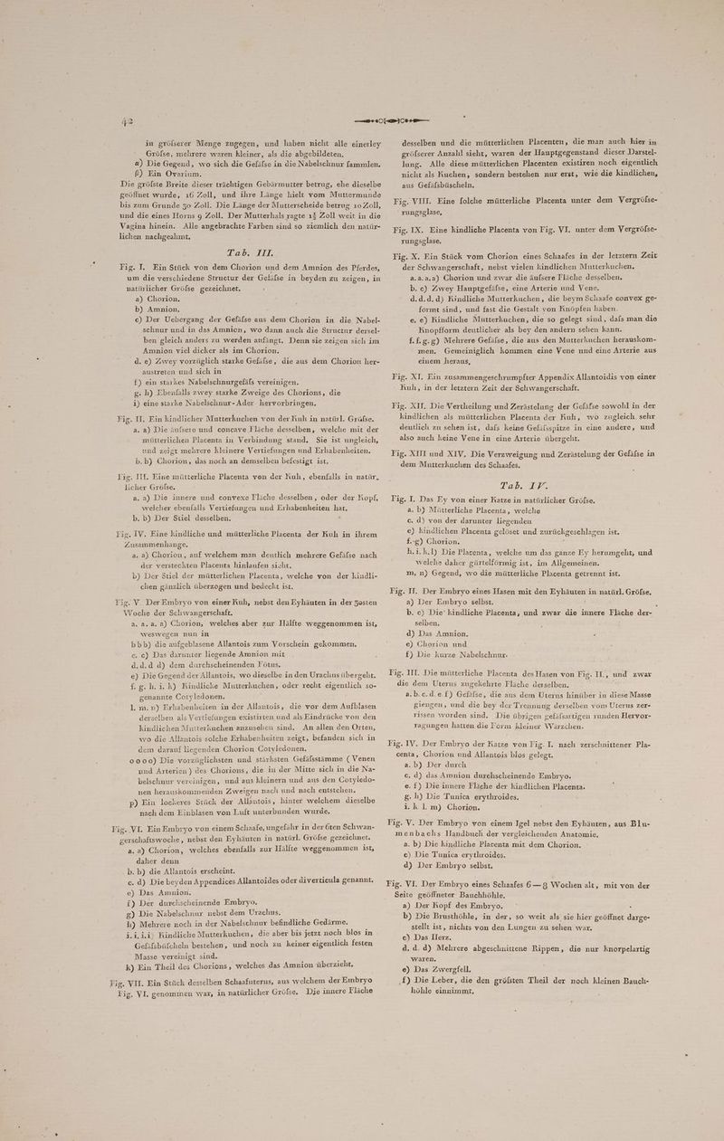 L De iD in gröfserer Menge zugegen, und haben nicht alle einerley Gröfse, mehrere waren kleiner, als die abgebildeten. &) Die Gegend, wo sich die Gefälse in die Sabehelinne fammlen. £) Ein Ovarium. Die gröfste Breite dieser trächtigen Gebärmutter betrug, ehe dieselbe geöffnet wurde, ı6 Zoll, und ihre Länge hielt vom Muttermunde bis zum Grunde 50 Zoll. Die Länge der Mutterscheide betrug ı0 Zoll, und die eines Horns g Zoll. Der Mutterhals sagte ı2 Zoll weit in die Alle angebrachte Farben sind so ziemlich den natür- lichen nachgeahmt, Vagina hinein. Tabs: LIT, Fig. I. Ein Stück von dem Chorion und dem Amnion des Pferdes, natürlicher Gröfse gezeichnet. ‚ a) Chorion. b) Amnion. c) Der Uebergang der Gefälse aus dem Chorion in die Nabel- schnur und in das Amnion, wo dann auch die Structur dersel- ben gleich anders zu werden anfängt. Denn sie - zeigen sıch im Amnion viel dicker als im Chorion. d. e) Zwey vorzüglich starke Gefülse, die aus dem Chorion her- austreten und sich in f) ein starkes Nabelschnurgefäfs vereinigen. g. h) Ebenfalls zwey starke Zweige des Chorions, die 1) eine starke Nabelsclinur- Ader. hervorbringen. Fig. II. Ein kindlicher Mutterkuchen von der Kuh in natürl. Gräfse. a. a} Die äulsere und concave Fläche desselben, welche mit der mütterlichen Placenta in Verbindung stand, Sie ist ungleich, und zeigt mehrere kleinere Vertiefungen und Erhabenheiten. b.b) Chorion, das noch an demselben befestigt ist. Yig. III. Eine mütterliche Placenta von der Kuh, ebenfalls in natür, licher Gröfse. a. a) Die innere und convexe Tlüiche desselben, oder der Kopf, welcher ebenfalls Vertiefungen und Erhabenheiten hat. b. b) Der Stiel desselben. Tig. IV. Eine kindliche und mütterliche Placenta der Kuh in ihrem Zusammenhange. a. a) Chorion, auf welchem man deutlich mehrere Gefäfse nach der versteckten Placenta hinlaufen sicht. b) Der Stiel der mütterlichen Placenta, welche von der kiudli- chen gänzlich überzogen und bedeckt ist. Fig. V. Der Embryo von einer Auh, nebst den Eyhäuten in une Zosten w oche der Schwangerschaft, a. a.a. a) Cliorion, welches aber zur Hälfte weggenommen ist, weswegen nun in bbb) die aufgeblasene Allantois zum Vorschein gekommen. c, c) Das darunter liegende Amnion mit d.d.d d) dem durchscheinenden Fötus. e) Die Gegend der Allantois, wo dieselbe in den Urachus übergeht. f.g.h.i.k) Kindlicke Mutterkuchen, oder recht eigentlich so- genannte Cotyledonen. 1. m.n) Erhabenheiten in der Allantois, die vor dem Aufblasen derselben als Vertiefungen existirten und als Eindrücke von den kindlichen Mutterkuchen anzusehen sind. An allen den Orten, wo die Allantois solche Erhabenrheiten zeigt, befanden sich in dem darauf liegenden Chorion Cotyledonen. 0000) Die vorzüglichsten und stärksten Gefälsstämme ( Venen und Arterien) des Chorions, die in der Mitte sich in die Na- belschnur vereinigen, und aus kleinern und aus den Cotyledo- nen herauskommenden Zweigen nach und naclı entstehen. p) Ein lockeres Stück der Allantois, hinter welchem dieselbe nach dem Einblasen von Luft unterbunden wurde. Fig. VI. Ein Embryo von einem Schaafe, ungefähr in der 6ten Schwan- gerschaftswoche, nebst den Eyhäuten in natürl. Größse gezeichnet. a. a) Chorion, welches ebenfalls zur Hälfte weggenommen ist, daher denn b. b) die Allantois erscheint. c. d) Die beyden Appendices Allantoides oder diverticula genannt. e) Das Amnion, f) Der duxchscheinende Embryo. g) Die Nabelschnur nebst dem Urachus. h) Mehrere noch in der Nabelschnur befindliche Gedärme. i.i.i.i) Kindliche Mutterkuchen, die aber bis jetzt noch blos in Gefüfsbüfcheln bestehen, und noch zu keiner eigentlich festen Masse vereinigt sind. k) Ein Theil des Chorions , welches das Amnion überzieht, Fig. VII. Ein Stück desselben Schaafuterus, aus welchem der Embryo Fig. VI, genommen was, in natürlicher Gröfse. Die innere Fläche desselben und die mütterlichen Placenten, die man auch hier in grölserer Anzahl sieht, waren der Hauptgegenstand dieser Darstel- lung. Alle diese mütterlichen Placenten existiren noch eigentlich nicht als Kuchen, sondern bestehen nur erst, wie die kindlichen, aus Gefälsbüscheln. Fig. VIII. Eine folche mütterliche Placenta unter dem Vergrölse- rungsglase, Fig. IX. Eine kindliche Placenta von Fig. VI. unter dem Vergrölse- rungsglase. Fig. X. Ein Stück vom Chorion eines Schaafes in der letztern Zeit der Schwangerschaft, nebst vielen kindlichen Mutterkuchen. a.a.a.a) Chorion und zwar die äufsere Tläche desselben. b. c) Zwey Hauptgefäfse, eine Arterie und Vene. d.d.d.d} Kindliche Mutterkuchen, die beym Schaafe convex ge- formt sind, und fast die Gestalt von Knöpfen haben. e. e) Kindliche Mutterkuchen, die so gelegt sind, dals man die Knopfform deutlicher als bey den andern sehen kann. f.f.g.g) Mehrere Gefälse, die aus den Mutterkuchen herauskom- men. Gemeiniglich kommen eine Vene und eine Arterie aus einem ‚heraus, Fig. XI. Ein zusammengeschrumpfter Appendix Allantoidis von einer Hulı, in der letztern Zeit der Schwangerschaft. Fig. XII. Die Vertheilung und Zerästelung der Gefäfse sowohl in der kindlichen als mütterlichen Placenta der Kuh, wo zugleich. sehr deutlich zu sehen ist, dafs keine Gefilsspitze in eine re. und ‚also auch keine Vene in eine Arterie über geht. Fig. XIII und XIV. Die Verzweigung und Zerästelung der Gefälse in dem Mutterkuchen des Schaafes. Tah. 37% Tig. I. Das Ey von einer Katze in natürlicher Grölse. a. b) Mütterliche Placenta, welche c. d) von der darunter liegenden e) kindlichen Placenta gelöset und zurückgeschlagen ist. f.-g) Chorion. ; h.i.k.l) Die Placenta, welche um das ganze Ey herumgeht, und welche daher gürtelförmig ist, im Allgemeinen. m, n) Gegend, wo die mütterliche Placenta getrennt ist. Fig. IT. Der Embryo eines Hasen mit den Eyhäuten in natürl. Gröfse, a) Der Embryo selbst. | b. c) Die’ kindliche Placenta, und zwar die innere Tläche der- selben. | d) Das Amnion. e) Chorion und f) Die kurze Nabelschnur. Fig. III. Die mütterliche Placenta des Hasen von Fig. 1 ke und zwar die dem Uterus zugekehrte Tläche derselben. Bu * a.b.c.d.e.f) Gefälse, die aus dem Uterus hinüber in diese Masse giengen, und die bey der Trennuug derselben vom Üterus zer- rıssen worden sind. Die übrigen gefälsartigen runden Hervor- ragungen hatten die Form kleiner Wärzchen. Fig. IV. Der Embryo der Katze von Fig. I. nach zexschnittener Pla- centa, Chorion und Allantois blos gelegt. a.b) Der durch c. d) das Amnion durchscheinende Embryo. e.f) Die innere Fläche der kindlichen Placenta. g. ı) Die Tunica erythroides, i.k 1. m) Chorion. Fig. V. Der Embryo von einem Igel nebst den Eyhäuten, aus Blu- menbachs Handbuch der vergleichenden Anatomie, a. b) Die kindliche Placenta mit dem Chorion, c) Die Tunica erythroides. d) Der Embıyo selbst. Fig. VI. Der Embryo eines Schaafes 6— 8 Wochen alt, mit von der Seite geöffneter‘ Bauchhöhle. a) Der Kopf des Embıyo. i b) Die Brusthöhle, in der, so weit als sie hier geöffnet darge- stellt ist, nichts von den Lungen zu sehen war. ec) Das Ierz. d. d. d) Melırere abgeschnittene Rippen, die nur knorpelartig waren. e) Das Zwergfell. ‚£) Die Leber, die den grölsten Theil der noch kleinen Bauch- höhle einnimmt,