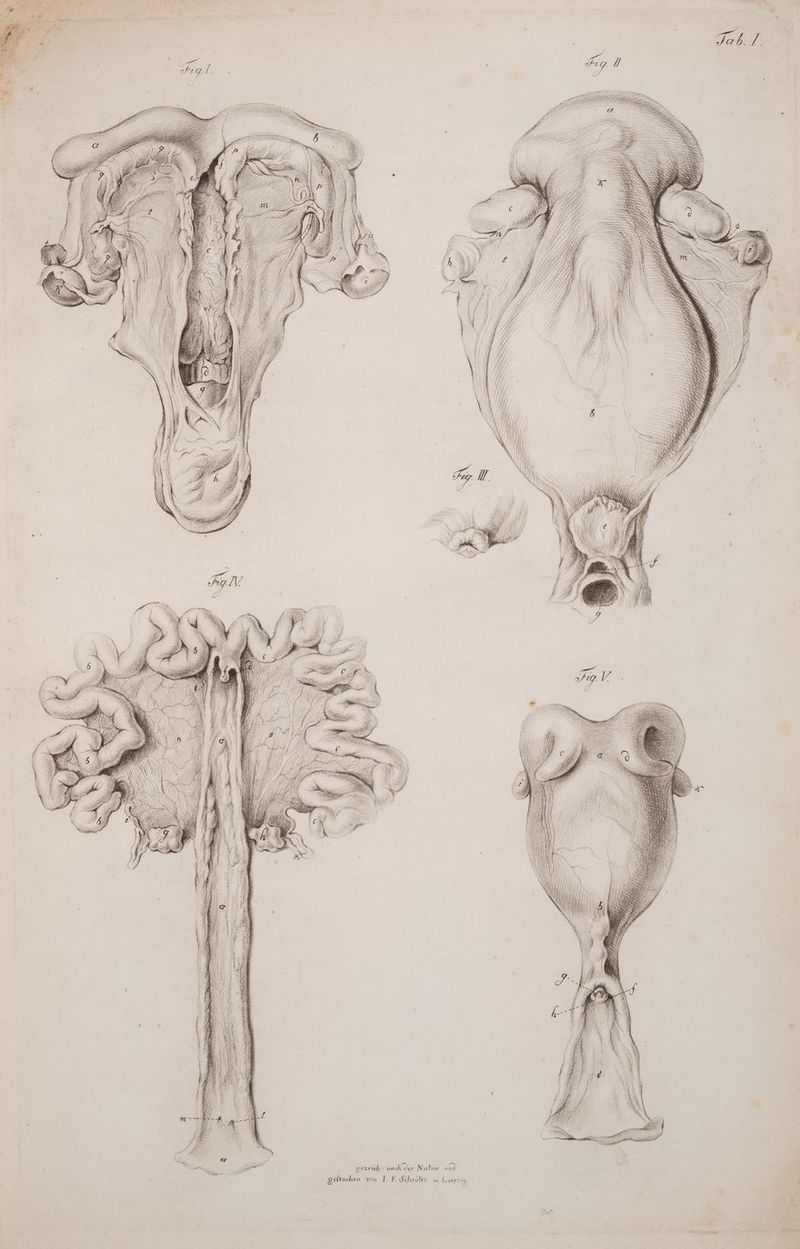 era ai dar Natur ee chen vou IT. F. Sc ezeioh m) & %s nn. hroter. in L erp? 4 ' to ge