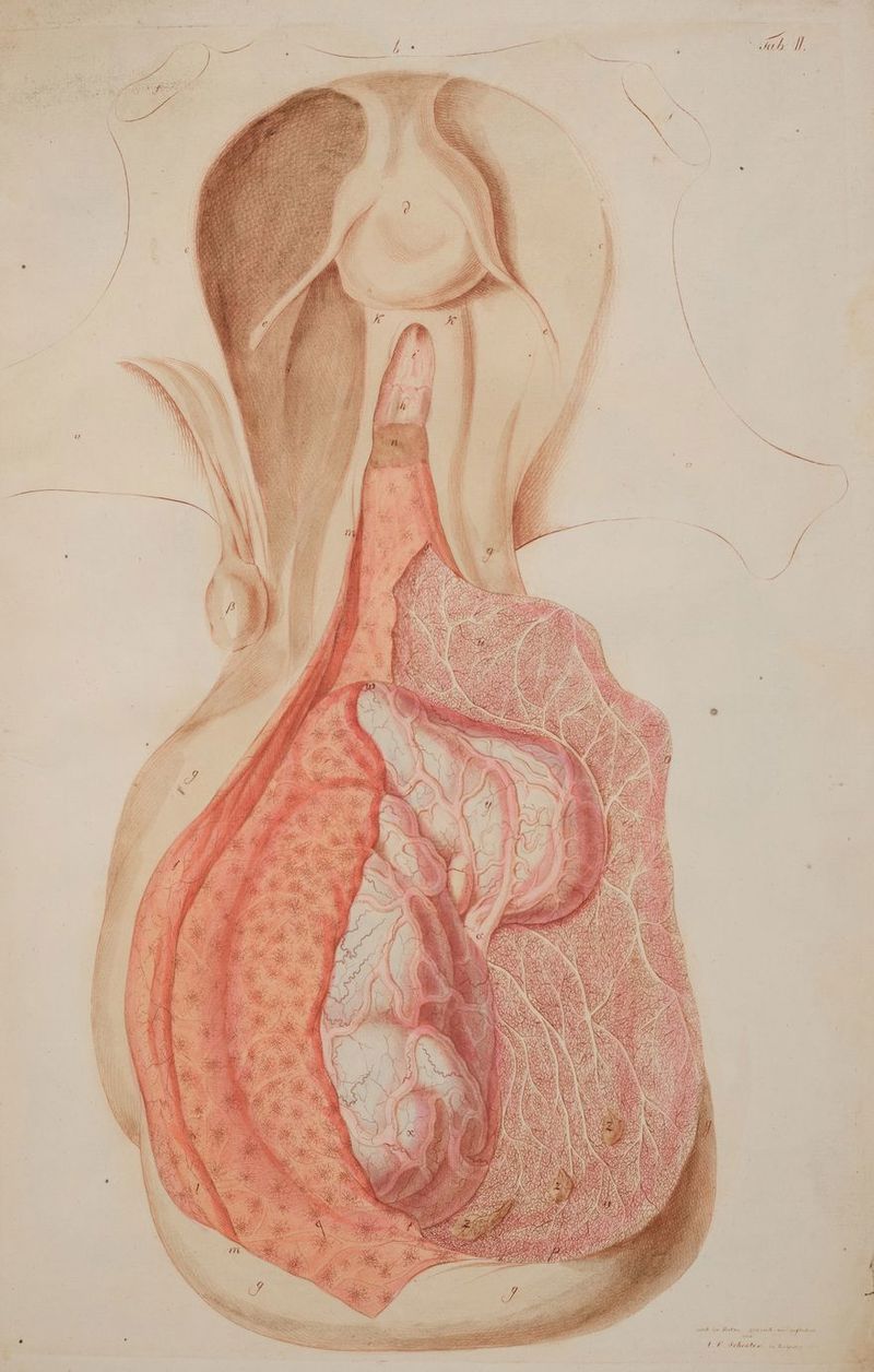 ’ PN 3 / vezerch \ {n Dr % - 5 Zu - i a « an x - s A a x ’ x b 8 = - te . 4 _—— - & “ en“ 5 / - Ba Fr q en ’ = . z FR . B; E “ a \ “ N > \ - fr € s \ = \ - 5 E « N r 4 \ } a a N - ” o IE ARE in x . x 40 . ö ° ı % se J [2 Er re o ir \ + , eur Wi: a * Prn Ludpz ‘ ven 2 viren A x Pu x Hinten Be SER | a0 > o = Er NT i jr = \ er = ER “ er n = 7 * } ; Pr ni} f „= ?, / Be n ei E, Be \) { ; na a 4 - je EN N se Si Fl N 2) Km a = ef er k r > Pu F Pi E { a! HE “ j | 22 | ; « Z 3 ? | N RER PR N ’ * Ex: & \ Br; Er er x } “. = ze \ EZ A 5 DE ER - ERS i r Ze Sl er 3 >>. a 2% » } & 1 N I 1 >05, len ne N n puenagnt nahe ns pe N De en = eng — _ an Sn an en ba m
