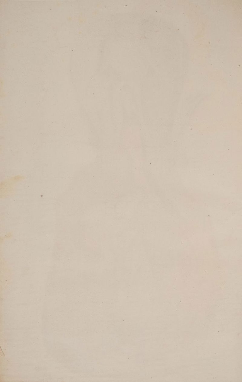 z ah e“ a. > Er . un 1 SE RE | C y 2-3 u 4 er, Er a Er . , . E Pa # re FR a A y Fin j - B 2 ER En gi SUN r ö + “ $ » . a EEE ie Pr EP. 1 =) # Pi ; „ A ”4 =. Fr Et s 6. 7 ” - m e m ; D “ > er Val r . . > v “+ \ i f Az: we . ı 2 ’ > . er ” “ \ mu Be - he Pr ie se B j N : . u - ” q \ D “ . / hi i ’ a‘ y - vr. ; fe . . f \ . FH \ % 7 4 ‚ ae a / EN Er Re # Bp ve e ie . “. b a s , FEN d % + £ “ a . s ‘ % a. vers * n v | re Dee a I . ne za In y Pr * » 4 Ä . „ z . Pr “ pr i Aa u VE Ag Pn - . + 4 ; r u Fe Arragen h | nz . RT Per n a et 0 a der a