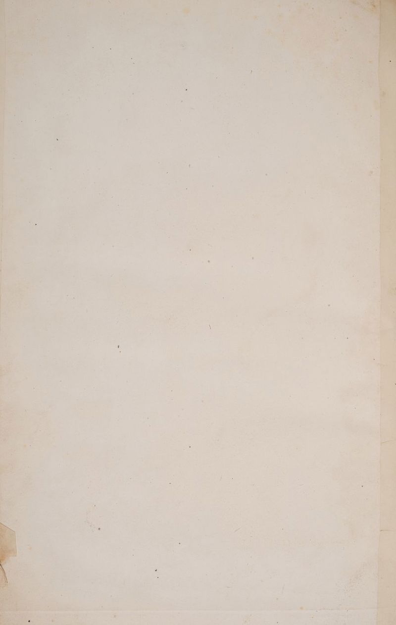 f »». \ ” ie «5 Di -