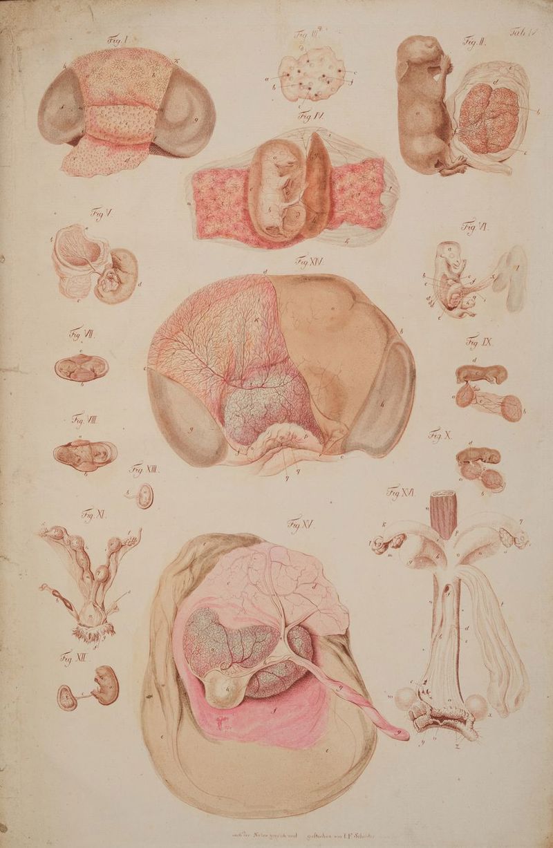 A; ER En BE Re REN ER » ’ Y \ ‘ . er) ? J | a j gr 2 T; a R Er. a“ A neuch der Natıer ger esch:und © eftöchen: vorn If Sch . x a 5 . ; Tr lie 4 a > I RN 4 ‘ hi a l% SPEER L ‚ id i ; er re DR Pa 2 A ,, AR e- Y