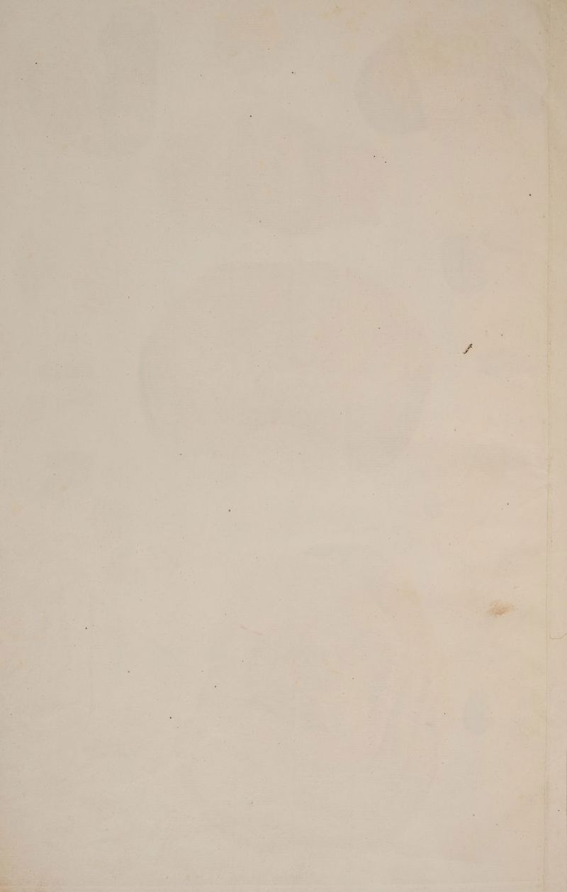 are rue a es Kup Cu we