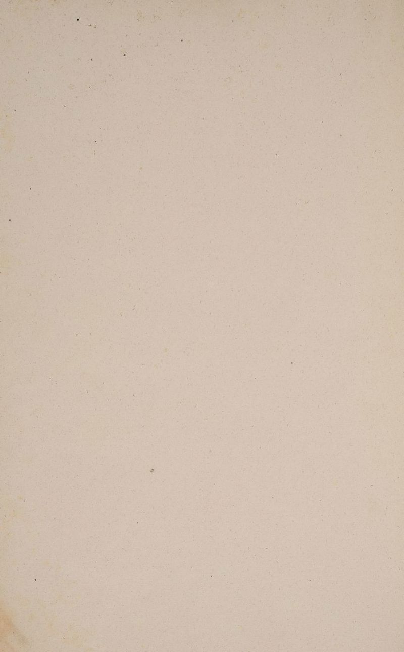 > wer EN > 5 er Ren ar, u,