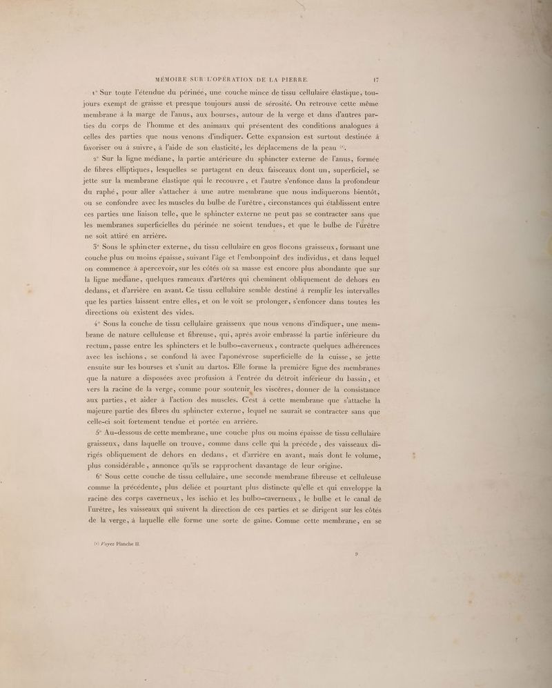 1° Sur toute l’étendue du périnée, une couche mince de tissu cellulaire élastique, tou- Jours exempt de graisse et presque toujours aussi de sérosité. On retrouve cette même membrane à la marge de l’anus, aux bourses, autour de la verge et dans d’autres par- ties du corps de l’homme et des animaux qui présentent des conditions analogues à celles des parties que nous venons d'indiquer. Cette expansion est surtout destinée à favoriser ou à suivre, à l’aide de son élasticité, les déplacemens de la peau ©. 2° Sur la ligne médiane, la partie antérieure du sphineter externe de l'anus, formée de fibres elliptiques, lesquelles se partagent en deux faisceaux dont un, superficiel, se jette sur la membrane élastique qui le recouvre, et l’autre s'enfonce dans la profondeur du raphé, pour aller s'attacher à une autre membrane que nous indiquerons bientôt, ou se confondre avec les muscles du bulbe de l’urètre , circonstances qui établissent entre ces parties une liaison telle, que le sphincter externe ne peut pas se contracter sans que è ne soit attiré en arrière. 5° Sous le sphincter externe, du tissu cellulaire en gros flocons graisseux, formant une couche plus ou moins épaisse, suivant l’âge et lembonpoint des individus, et dans lequel on commence à apercevoir, sur les côtés où sa masse est encore plus abondante que sur la ligne médiane, quelques rameaux d’artères qui cheminent obliquement de dehors en dedans, et d’arrière en avant. Ce tissu cellulaire semble destiné à remplir les intervalles que les parties laissent entre elles, et on le voit se prolonger, s’enfoncer dans toutes les directions où existent des vides. 4° Sous la couche de tissu cellulaire graisseux que nous venons d’indiquer, une mem- brane de nature celluleuse et fibreuse, qui, après avoir embrassé la partie inférieure du rectum, passe entre les sphincters et le bulbo-caverneux , contracte quelques adhérences avec les ischions, se confond là avec l’aponévrose superficielle de la cuisse, se jette ensuite sur les bourses et s’unit au dartos. Elle forme la première ligne des membranes que la nature a disposées avec profusion à l'entrée du détroit inférieur du bassin, et vers la racine de la verge, comme pour soutenir, les viscères, donner de la consistance aux parties, et aider à l’action des muscles. Cest à cette membrane que s'attache la majeure partie des fibres du sphincter externe, lequel ne saurait se contracter sans que celle-ci soit fortement tendue et portée en arrière. 5° Au-dessous de cette membrane, une couche plus ou moins épaisse de tissu cellulaire graisseux, dans laquelle on trouve, comme dans celle qui la précède, des vaisseaux di- rigés obliquement de dehors en dedans, et d’arrière en avant, mais dont le volume, plus considérable , annonce qu’ils se rapprochent davantage de leur origine. 6° Sous cette couche de tissu cellulaire, une seconde membrane fibreuse et celluleuse comme la précédente, plus déliée et pourtant plus distincte qu’elle et qui enveloppe la racine des corps caverneux, les ischio et les bulbo-caverneux , le bulbe et le canal de l’urètre, les vaisseaux qui suivent la direction de ces parties et se dirigent sur les côtés de la verge, à laquelle elle forme une sorte de gaine. Comme cette membrane, en se
