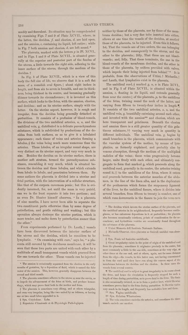 muddy and flocculent. Its situation may be comprehended by examining Figs. 7 and 9 of Plate XCVII., where, in the latter, the decidua, f/ and chorion, d, are laid open, and the amnion, ¢, containing its liquid, left entire ; while in Fig. 7 both amnion and chorion, d, are left sound. * The placenta, marked with the letters p in Pl. XCVLI., and in Figs. 1 and 9 of Plate XCVII., is situated gene- rally at the superior and posterior part of the fundus of the uterus, a little towards the right side, adhering to the imner surface of the uterus, through the medium of the decidua. In Fig. 1 of Plate XCVII., which is a view of this body the full size of life, we observe that it is a soft flat mass, of a roundish oval figure, { about eight inches in length, and from six to seven in breadth, and one in thick- ness, being thickest in its centre, and becoming gradually thinner towards its circumference; it is invested on this surface, which looks to the fetus, with the amnion, chorion, and decidua; and on its uterine surface, simply with the latter. On the uterine aspect, however, it is rough and irregular, from the decidua being generally detached at parturition. It consists of a profusion of blood-vessels, the divisions of the two umbilical arteries, n, n, and the umbilical vein, g, distributed in a delicate parenchymatous substance, which is subdivided by productions of the de- cidua from both surfaces, so as to give it a lobulated appearance; each tissue of veins and arteries forming a lobulus, § the veins being much more numerous than the arteries. These lobules, of an irregular round shape, are very distinct on its uterine aspect, and vary very much in size. Besides the decidua on its uterine surface, there is another soft stratum, termed the parenchymatous sub- stance, resembling it very much, which is situated be- tween the decidua and these lobules, and which extends from lobule to lobule, and penetrates between them. By some authors the placenta is divided into a uterine and fetal portion, with the intervention of a cellular structure, dently incorrect, for, not until the mass is very putrid, ean we in the least separate it into two portions; and as even Dr. Hunter himself observes, “ In a placenta of nine months, I have never been able to separate the two constituent parts otherwise than by some degree of putrefaction, and gentle rubbing and washing; but this operation always destroys the uterine portion, which is more tender, and melts down by putrefaction sooner than the other.” | From experiments performed by Dr. Lauth, || vessels have been discovered between the interior surface of the uterus and the decidua, which he considers to be lymphatic. “ On examining with care,” says he, “ a pla- centa still covered by the deciduous membrane, it will be seen that these two parts are united with each other by a multitude of small transparent vessels which proceed from the one towards the other. These vessels can be injected * The amnion is occasionally separated from the chorion in the early months of gestation, by a deposition of fluid, which is named the false water of the amnion. This, however, generally disappears between the second and third month. + The placenta sometimes adheres to the uterus so near the cervlx, as to impede the advancement of the fetus at birth, and produce hemor- rhage, which may prove fatal both to the mother and fetus. + The placenta is sometimes very oblong, and at others triangular, and even very irregular, being like two united by an isthmus, or having one or two small lobes appended to it. § Syn. Cotyledone. Lobe. || Repertoire d’ Anatomie et de Physiologie Pathologiques. neither by those of the placenta, nor by those of the mem- brana decidua; but a very fine tube inserted into either, allows at one time the vessels of the decidua, at another those of the placenta, to be injected. From this it follows, Ist, That the vessels are of two orders, the one belonging to the decidua, and consequently to the uterus, and the other to the placenta; 2dly, That these are not blood- vessels; and, 3dly, That these terminate, the one in the blood-vessels of the membrana decidua, and the other iy those of the placenta, by orifices provided with valves, which impede their being injected from behind.” * [¢ jg probable, from the observations of Uttini, + Michaelis, + and Lauth, that lymphatics exist in the placenta. The umbilical cord, marked g, », n in Plate XCVI., and in Fig. 1 of Plate XCVII., is situated within the amnion, c, floating in its liquid, and extends generally from near the centre|| of the placenta, », to the umbilicus of the fetus, twining round the neck of the latter, and varying from fifteen to twenty-four inches in length. It consists of the two umbilical arteries, n, n, and the umbilical vein, g, beautifully entwining around each other, and invested with the amnion** and chorion, which are here transparent and gelatinous. Beneath the chorion and amnion there is a still greater quantity of this gela- tinous substance, {{ varying very much in quantity in different individuals. The umbilical vein, g, begins by small branches in the placenta, which communicate with the vascular system of the mother, by means of lym- phatics, as formerly explained, and probably also by venous absorption, through the medium of the multiplied radicles of the veins; these veins progressively become larger, unite freely with each other, and ultimately con- gregate to form that marked g, which proceeds along the umbilical cord, generally in its centre, the arteries twining round it,{t to the umbilicus of the fetus, where it enters and proceeds between the anterior muscles of the abdo- men, in the line of the linea alba, and in the duplicature of the peritoneum which forms the suspensory ligament of the liver, to the umbilical fissure, where it divides into several branches, from fifteen to twenty in number, one of which runs downwards in the fissure to join the vena cava cS PGES LEERY PEE SET realy Ow er ly A ee ee * The decidua which invests the uterine surface of the placenta, and the umbilical arteries in its neighbourhood, frequently becomes cartila- ginous, or has calcareous depositions in it at parturition; the placenta also becomes occasionally scirrhous, pcints of consideration for the ac- coucheur; and hydatiform vesicles are occasionally found throughout the substance of the placenta. + Uttini Memoria dell Instituto Nationale Italiano. { Michaelis Observat. circa placentee ac funiculi umbilici vasa absor- bentia. § Syn. Funis vel funiculus umbilicalis. || Great irregularity exists in the point of origin of the umbilical cord from the placenta ; sometimes it originates precisely in the centre, but more commonly a little to the one side, sometimes at the very edge, at other times at the one end, and at others, again, not for some distance from the edge—the vessels, in this latter case, not having concentrated to form the cord until they have run along the convex aspect of the membranes between the decidua and the chorion. In these cases the vessels form several centres. The umbilical cord is subject to great irregularity in its course about the fetus, and hence the circulation is frequently stopped for such a length of time during parturition, as to prove fatal to the fetus. The funis is also occasionally twisted, so as to form a perfect knot, which ikesoee sometimes proves fatal to the fetus during parturition. It likewise varies very much in its length, and frequently has nodosities here and there. ** Syn. Vagina umbilicalis. tt Syn. Gelatina Whartoniana. ++ The vein sometimes encircles the arteries, and sometimes the three vessels encircle one another.