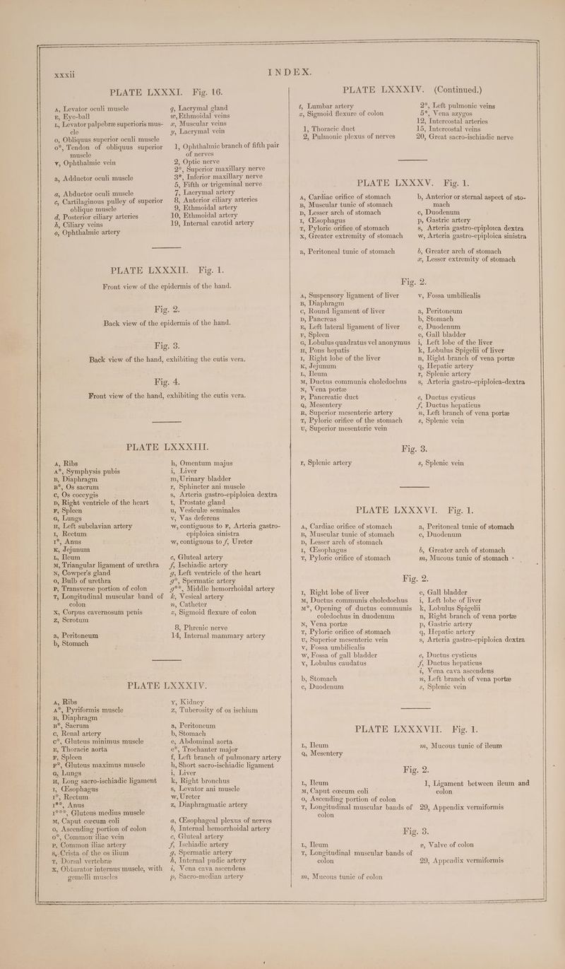 A, Levator oculi muscle E, Eye-ball L, Levator palpebree superioris mus- cle 0, Obliquus superior oculi muscle o*, Tendon of obliquus superior muscle v, Ophthalmic vein a Adductor oculi muscle a, Abductor oculi muscle c, Cartilaginous pulley of superior oblique muscle d, Posterior ciliary arteries h, Ciliary veins 0, Ophthalmic artery Fig. 16. g, Lacrymal gland aw, Ethmoidal veins x, Muscular veins y, Lacrymal vein 1, Ophthalmic branch of fifth pair of nerves 2, Optic nerve a, Superior maxillary nerve 3, Inferior maxillary nerve 5, Fifth or trigeminal nerve — rh Lacrymal artery 8, Anterior ciliary arteries 9, Ethmoidal artery 10, Ethmoidal artery 19, Internal carotid artery Fig. 1. A, Ribs A*, Symphysis pubis B, Diaphragm B*, Os sacrum C, Os coccygis p, Right ventricle of the heart F, Spleen a, Lungs H, Left subclavian artery 1, Rectum 1*, Anus K, Jejunum Lt, Lleum | M, Triangular ligament of urethra n, Cowper's gland 0, Bulb of urethra p, Transverse portion of colon T, Longitudinal muscular band of colon x, Corpus cavernosum penis Z, Scrotum a, Peritoneum b, Stomach h, Omentum majus i, Liver m, Urinary bladder r, Sphincter ani muscle s, Arteria gastro-epiploica dextra t, Prostate gland u, Vesiculee seminales v, Vas deferens w, contiguous to F, Arteria gastro- epiploica sinistra w, contiguous to f, Ureter c, Gluteal artery f; Ischiadic artery g, Left ventricle of the heart g*, Spermatic artery g**, Middle hemorrhoidal artery k, Vesical artery n, Catheter | z, Sigmoid flexure of colon 8, Phrenic nerve 14, Internal mammary artery A, Ribs A*, Pyriformis muscle B, Diaphragm - B*, Sacrum c, Renal artery c*, Gluteus minimus muscle E, Thoracic aorta F, Spleen F*, Gluteus maximus muscle G, ‘Lungs ) H, Long sacro-ischiadic ligament 1, Ctsophagus 1*, Rectum ree, Anus 1***, Gluteus medius muscle mM, Caput coecum coli o, Ascending portion of colon o*, Common iliac vem Pp, Common iliac artery s,-Crista of the os ilium t, Dorsal vertebrae x, Obturator nternus ee with gemelli muscles y, Kidney Z, Luberosity of os ischium a, Peritoneum b, Stomach e, Abdominal aorta e*, Trochanter major f, Left branch of pulmonary artery b, Short sacro-ischiadic ligament i, Liver k, Right bronchus s, Levator ani muscle w, Ureter z, Diaphragmatic artery a, QEsophageal plexus of nerves 6, Internal hemorrhoidal artery c, Gluteal artery Ff, Ischiadic artery g, Spermatic artery h, Internal pudic artery 1, Vena cava ascendens p, Sacro-median artery 1, Thoracic duct 2, Pulmonic plexus of nerves (Continued.) 2*, Left pulmonic veins 5*, Vena azygos 12, Intercostal arteries 15, Intercostal veins 20, Great sacro-ischiadic nerve A, Cardiac orifice of stomach B, Muscular tunic of stomach p, Lesser arch of stomach 1, Otsophagus T, Pyloric orifice of stomach x, Greater extremity of stomach a, Peritoneal tunic of stomach A, Suspensory ligament of liver B, Diaphragm c, Round ligament of liver p, Pancreas BE, Left lateral ligament of liver. F, Spleen G, Lobulus quadratus vel anonymus u, Pons hepatis 1, Right lobe of the liver K, Jeyunum L, Lleum M, Ductus communis choledochus N, Vena porte p, Pancreatic duct Q, Mesentery R, Superior mesenteric artery T, Pyloric orifice of the stomach u, Superior mesenteric vein b, Anterior or sternal aspect of sto- mach c, Duodenum p, Gastric artery s, Arteria gastro-epiploica dextra w, Arteria gastro-epiploica sinistra 6, Greater arch of stomach x, Lesser extremity of stomach 2. v, Fossa umbilicalis a, Peritoneum b, Stomach ec, Duodenum e, Gall bladder 1, Left lobe of the liver k, Lobulus Spigelii of liver n, Right-branch of vena portze q, Hepatic artery r, Splenic artery s, Arteria gastro-epiploica-dextra e, Ductus cysticus J, Ductus hepaticus n, Left branch of vena porte s, Splenic vein r, Splenic artery A, Cardiac orifice of stomach B, Muscular tunic of stomach D, Lesser arch of stomach 1, C&sophagus T, Pyloric orifice of stomach s, Splenic vein Fig. 1. a, Peritoneal tunic of stomach c, Duodenum b, Greater arch of stomach m, Mucous tunie of stomach - 1, Right lobe of liver mM, Ductus communis choledochus M*, Opening of ductus communis coledochus in duodenum nN, Vena porte T, Pyloric orifice of stomach u, Superior mesenteric vein v, Fossa umbilicalis w, Fossa of gall bladder x, Lobulus caudatus b, Stomach c, Duodenum L, Dleum Qa, Mesentery e, Gall bladder i, Left lobe of liver k, Lobulus Spigeli n, Right branch of vena porte p, Gastric artery q, Hepatic artery s, Arteria gastro-epiploica dextra e, Ductus cysticus f, Ductus hepaticus 1, Vena cava ascendens n, Left branch of vena porte s, Splenic vein Fig. 1. m, Mucous tunic of ileum L, Ileum mM, Caput coecum coli o, Ascending portion of colon T, Longitudinal muscular bands of colon 1, Ligament between ileum and colon 29, Appendix vermiformis L, Lleum T, Longitudinal muscular bands of colon m, Mucous tunic of colon v, Valve of colon 29, Appendix vermiformis
