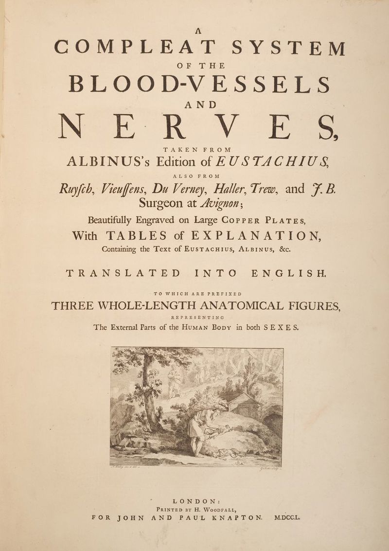 COMPLEAT SYSTER® Of DL iek BLOOD-VESSELS A ND RO V 2a TAKEN FROM ALBINUS's Edition of AUSTACHIUS, ALSO FROM Ruyfch, Vieuffens, Du Verney, Haller, Trew, and F. B. Surgeon at Avignon; Beautifully Engraved on Large CopPpER PLATES, With TABLES of EXPLANATION, Containing the Text of EusTacuius, ALBINUS, &amp;c. TRANS LATED. E-N.T.0. ENG LISS TO WHICH-ARE PREFIXED THREE WHOLE-LENGTH ANATOMICAL FIGURES, REPRESENTING The External Parts of the Human Bopy in both SEXES. Ni > Z ey : 3 - S S Sais : Wi Ze se SS 2 SS ae ; : \ Ay Z a e f. ¢ ‘ : SENS Z q SD - fae < 4 5, wae ; iH a SVAN 3 Y A ‘ SS g Dy LARS : S vs . a : 2 SS x C N : SSS yt Ni = : \\ . Me RAN DANN : ‘ SN ey SHDN (MK SS QS pi N: blahey ELLE. COUN SS Ge ~ re é LONDON: PRINTED By H. WoopDFALL, FOR JOHN AND PAUL KNAPTON. M.DCC.L. =