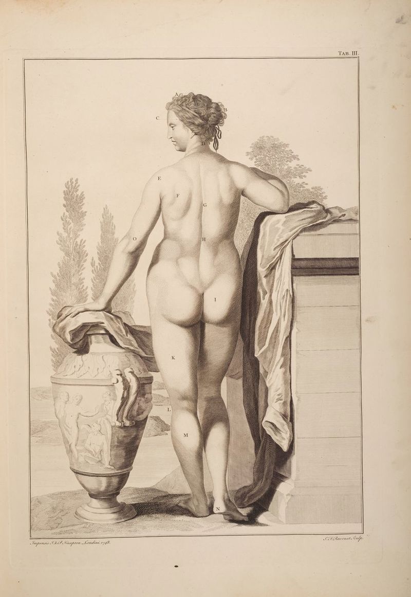 TAB. III. Riven Ctx lulu: Wk = == == S) ———— HAN Ss —— = S =a = = — 2 = = = = | | —— i i} = | HANAN | 1M << i7 ANY XY AWS O Ss jae ily H i AN ) a \ Sirens FAP. Anapton Londine, 1748.