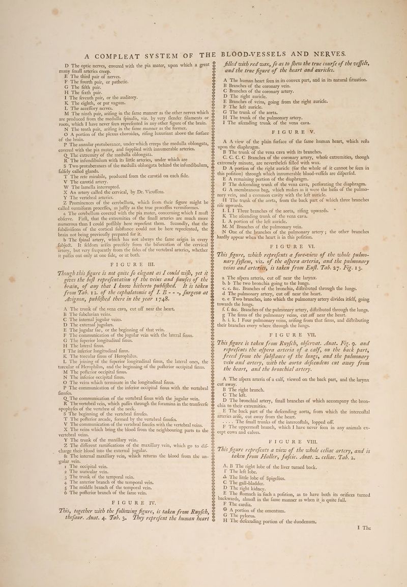 D The optic nerves, covered with the pia mater, upon which a great many {mall arteries creep. E The third pair of nerves. F The fourth pair, or pathetic. G The fifth pair. H The fixth pair. | I The feventh pair, or the auditory. K The eighth, or par vagum. L The acceffory nerves. | ; M The ninth pair, arifing in the fame manner as the other nerves which roots, which I have never {een reprefented in any other figure of the brain. N The tenth pair, arifing in the fame manner as the former. O A portion of the plexus choroides, rifing luxuriant above ‘the furface of the brain. P The annular protuberance, under which creeps the medulla oblongata, covered with the pia mater, and fupplied with innumerable arteries. Q The extremity of the medulla oblongata. R The infundibulum with its little arteries, under which are falfely called glands. T The rete mirabile, produced from the carotid on each fide. V The carotid artery. W The lamella interrupted. — X An artery:called the cervical, by Dr. Vieuflens. ‘YY The vertebral arteries. 7, Prominences of the cerebellum, which from their figure might be called vermiform procefies, as juftly as the true proceffus vermiformes. a The cerebellum covered with the pia mater, concerning which I muft obferve. Firft, that the extremities of the {mall arteries are much more numerous than I could poffibly here reprefent them. Secondly, that the fubdivifions of the cortical fubftance could not be here reprefented, the brain not being previoufly prepared for it. b The fpinal artery, which has not always the fame origin in every fubject. It feldom arifes precifely from the bifurcation of the cervical artery, but very frequently from the fides of the vertebral arteries, whether it pafies out only at one fide, or at both. FIGURE Though this figure is not quite fo elegant as I could wifh, yet it gives the beft reprefentation of the veins and finufes of the brain, of any that I know hitherto publifbed. It is taken from Tab. 12. of the cephalatomie of I. B---, furgeon at Avignon, publifbed there in the year 1748. A The trunk of the vena cava, cut off near the heart. B The-fubclavian veins. ; C The internal jugular veins. D The external jugulars. E The jugular fae, or the beginning of that vein. F The communication of the jugular vein with the lateral finus. G The fuperior longitudinal finus. H The lateral finus. I The inferior longitudinal finus. K The torcular finus of Herophilus. L The joining of the fuperior longitudinal finus, the lateral ones, the torcular of Herophilus, and the beginning of the pofterior occipital finus. M The pofterior occipital finus. N The inferior occipital finus. O The veins which terminate in the longitudinal finus. P The communication of the inferior occipital finus with the vertebral finufes. Q The communication of the vertebral finus with the jugular vein. R The vertebral vein, which paffes through the foramina in the tranf{verfe apophyfes of the vertebre of the neck. : : S The beginning of the vertebral finufes. T The pofterior arcade, formed by the vertebral finufes. V The communication of the vertebral finufes with the vertebral veins. X The veins which bring the blood from the neighbouring parts to the vertebral veins. Y The trunk of the maxillary vein. Z The different ramifications of the maxillary vein, which go to dif- charge their blood into the external jugular. & The internal maxillary vein, which returns the blood from the an- gular vein. 1 The occipital vein. 2 The auricular vein. 3 The trunk of the temporal vein. 4 The anterior branch of the temporal vein. 5 The middle branch of the temporal vein. 6 The pofterior branch of the fame vein. PAG U io. tv. This, together with the following figure, is taken from Ruyfch, thefaur. Anat. 4. Tab. 3, They reprefent the human heart La Ns PM Re Be Ne De Me Oe ei i oR a o% % ig &% ¢ PREG o% & a See alee eee di eee eh ec eee eee Mh. ty See BLOOD-VESSELS AND NERVES. filled with red wax, fo as to foew the true courfe of the veffels, and the true figure of the heart aud auricles. A The human heart feen in its convex part, and in its natural fituation. B Branches of the coronary vein. : C Branches of the coronary artery. D The right auricle. E Branches of veins, going from the right auricle. F The left auricle. G The trunk of the aorta. H The trunk of the pulmonary artery. I The afcending trunk of the vena cava. FIGWU RE Oy. A A view of the plain furface of the fame human heart, which refts upon the diaphragm. B The trunk of the vena cava with its branches. C.-C. C. C Branches of the coronary artery, whofe extremities, though extremely minute, are neverthelefs filled with wax. D A portion of the right auricle (for the whole of it cannot be feen in this pofition) through which innumerable blood-veffels are difperfed. E A remaining portion of the diaphragm. F The defcending trunk of the vena cava, perforating the diaphragm. G A membranous bag, which makes as it were the bafis of the pulmo- nary vein, and a common cavity with the left auricle. H The trunk of the aorta, from the back part of which three branches rife upwards. I, J. I Three branches of the aorta, rifing upwards. K The afcending trunk of the vena cava. L A portion of the left auricle. M. M Branches of the pulmonary vein. N One of the branches of the pulmonary artery ; the other branches Fo1G*GER E VI: This figure, which reprefents a fore-view of the whole pulmo- nary fyftem, vit. of the afpera arteria, and the pulmonary veins and arteries, is taken from Euft. Tab. 27. Fig. 13. a The afpera arteria, cut off near the larynx. b. b The two bronchia going to the lungs. . c. &c. Branches of the bronchia, diftributed through the lungs. d The pulmonary artery, cut off near the heart. e. € Two branches, into which the pulmonary artery divides itfelf, going towards the lungs. f. f. &c. Branches of the pulmonary artery, diftributed through the lungs. g The finus of the pulmonary veins, cut off near the heart. h. i. k. 1 Four pulmonary veins, arifing from that finus, and diftributing their branches every where through the lungs. Pit’e URE vil This figure is taken from Ruyfch, obfervat. Anat. Fig.9. and reprefents the afpera arteria of a calf, on the back part, freed from the fubftance of the lungs, and the pulmonary vein and artery, with the aorta defcendens cut away from the heart, and the bronchial artery. A The afpera arteria of a calf, viewed on the back part, and the larynx cut away. B The right branch. C The left. D The bronchial artery, {mall branches of which accompany the bron- chia to their extremities. E The back part of the defcending aorta, from which the intercoftal arteries arife, cut away from the heart. - ++. The {mall trunks of the intercoftals, lopped off. F The uppermoft branch, which I have never feen in any animals ex- cept cows and calves. FlG URE SA This figure reprefents a view of the whole celiac artery, and is taken from Haller, fafcic. Anat. 2. celiac. Tab. A. B The right lobe of the liver turned back. I’ The left lobe. A The little lobe of Spigelius. C The gall-bladder. D The right kidney. | E The ftomach in fuch a pofition, as to have both its orifices turned backwards, almoft in the fame manner as when it is quite full. F The cardia. ; © A portion of the omentum. G The pylorus. H The defcending portion of the duodenum,