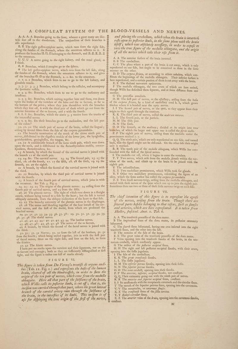 wife fent off to the: duodenum, alfo reprefented. along the fundus of the ftomach, where the omentum adheres to it. produces the branches [. II. TT belonging to the ftomach, and 2.2, 2,2. = to the omentum. U.U.U A nerve I think, ©, ® Branches, which I imagine go to the fpleen. ¥ The left gaftro-épiploic nerve, which runs from the left fide, along the fundus of the ftomach, where the omentum adheres to it, and gives off the branches Q..Q to the ftomach, x. x. &c. to the omentum. 2. 2. 2. 2 Branches, which feem to me to ge to the left kidney, and glandula renalis. Ba os the fpermatic veffels. 4. 4. 4. &c. Branches, which feem to me to go to the mefentery and inteftines. 5. 5. 5. &c. Branches, which uniting together here and there, run down upon the bodies of the vertebra of the loins and the os facrum, as far as the bottom of the pelvis; where they join themfelves with the branches which they fent off, 6 with the third pair of thofe which go out from the anterior foramina of the os facrum, and 7 with the fourth. 8. 8. 8. &c, Branches, which the above 5. 5 receive from the trunks of the intercoftal nerves. 9. 9. 9. &c. Do thefe branches go to the mefocolon, and the left part of the colon? ro. ro, 10 The ninth pair of nerves of the brain, called the lingual ; arifing by feveral fibres from the fide of the corpora pyramidalia. nerves, ,diftributed to the digaftric mufcle of the lower jaw, the hyoglofius, geniohyoideus, geniogloffus, the tongue, &c. 12.12 A confiderable branch of the fame ninth pair, which runs down upon the neck, and is diftributed to the fternothyroideus mufcle, coraco- hyoideus, fternohyoideus, &c. 13 A branch, by which the fecond of the cervical nerves is joined with the branch 12 of the ninth pair. | 14. 14. &c. ‘The cervical nerves. third, 16. 16 the fourth, 17. 17 the fifth, 18. 18 the fixth, 1g. 19 the feventh, 20. 20 the eighth. | rR 21 A branch, by which the fecond of the cervical nerves is joined with the third. a 22. 22 Branches, by which the third pair of cervical nerves is joined with the fourth. we Sales 23 A branch of the fourth pair of cervical nerves, which joins in with the’ recurrent... See Tab. 2, Figi-4, ~ 24. 25: 24. 26 The origins of the phrenic nerves: 24 arifing from the fourth pair of cervical nerves, and 25 from the fifth. 26. 26 The phrenic nerves. The right of which runs down in a {treight courfe, without being turned to a fide by the heart ; but the left is turned obliquely outwards, from the oblique inclination of the heart to that fide. 27.27 The branchy extremity of the phrenic nerves in the diaphragm. 28. 28 The union and blending together of the four loweft of the cer- vical nerves, and the firft of the dorfal, from which are produced the brachial nerves. 20. 30. 31. 32. 33. 34: 35. 36. 37-35: 29. 30. ZI. 32- 33+ 34- 35: 36. 37. 38 The dorfal nerves. 40. AT. 42. 43. 442 40. 41. 42. 43-44 The lumbar nerves. 45. 46. 47.48: 45. 46. 47. 48 The nerves of the os facrum. , 49 A branch, by which the fecond of the facral nerves 1s joined with re third. : 50. 60: 51. 51 Nerves; 50. 50 from the laft of the lumbars, 51. 51 from the fourth; which being united together, join in with the farft pair of facral nerves, three on the right fide, and four on the left, to form the {ciatics. 52.52 The {ciatic nerves. wc I have put no marks upon the vertebre and their ligaments, nor on the os facrum and coccygis; both as they are fufficiently diftinguifhed at firft fight, and the figure is rather too full of marks already. BiG wU RE SVL This figure is taken from Du Verney’s treatife de organo audi- bus (Tab. 11. Fig. 1.) and reprefents the bafis of the human brain, cleared of all the blood-veffels, in order to fhew the origin of the ten pair of nerves, which come from the medulla oblongata. Here all that part of the fubflance of the brain, which Willis calls its pofterior limbi, is cut off 5 that is, the incifion was carried through that part, where the great lateral ufe for difplaying the true origiv of the firft of the nerves, and placing the cerebellum, which when the brain 1s inverted, refis upon its pofterior limbi, in the fame plane with the brain ifelf; which was abfolutely neceffary, in order to expofe to view the true figure of the medulla oblongata, and the origin of all the nerves which take their rife from it. i% oe xe Me &% esi) SK} * A.A The anterior furface of the brain inverted. B. B The cerebellum. # ©. C The place where a part of the brain is cut away, s. reprefented on one fide, ee = manner on the other. = D.D The corpora firiata, or according to others zubulata, which con- ftitute the beginnings of the medulla oblongata. Their inferior furface is & here reprefented, and a certain portion of them is cut away with the brain, = E.E The thalami nervorum opticorum. * FE The medulla oblongata, the two crura of which are here united Zi “11° ° 3 = though Willis has defcribed them feparate, and at fome diftance from one “ another. * G The proceffus annularis. H.H The firft pair of nerves, or the o/fa&ory ; arifing from the bafis of the corpora friata, by a kind of medullary cord h. h, which 2TOWS @ thicker where it is bended near the optic nerves. * - I. 1 The fecond pair of nerves, or the optic, as they appear from their % &% s% = which is only but ought to be conceived as done in the fame ie a origin to their egrefs through the cranium. K. K The third pair of nerves, called the eculorum motores. L. L The fourth pair, or the parheric. M. M The fifth pair. iN ANA The: diel; # O.O The feventh, or the auditory; divided at its origin into two & branches, of which the larger and upper one is called the portio mollis. P. P The eighth pair of nerves, arifing from the medulla under the # prominences marked y. y. ° Q. Q The ninth pair, which are only reprefented on one fide, and turned & back, that the figure might not be obfcured. On the other fide their origin ® only is marked. F = _R.R The tenth pair of the medulla oblongata, which Willis has con- & founded with the firft of the {pinal nerves. “+ § The medulla cut off, where it begins to enter the vertebra, & TT. T Two nerves, which arife from the medulla Jpinalis within the ver- = tebre of the neck, and climb up to the brain to be joined with the ® eighth pair. U The infundibulum. X. X Two medullary prominences, which Willis took for glands. = Y. Y Other two medullary prominences, refembling the figure of an ® olive, which the fame author has called the corpora pyramidalia. % Z.Z Two {mall nervous twigs, arifing from the medulla oblongata, and @ united with thofe nerves of the {pine which run up to join the eighth pair. = Sometimes there are two or three of thefe little nervous twigs on each fide. De) EEG Cie Ee Vie e chief intention of this figure is to reprefent the egrefs of the nerves, arifing from the brain. Though there are bis Ke) Kh, tee ig sic) &% % oo Sie) & Th om a So & @ feveral parts befides belonging to that vifcus, fuch as finufes e and arteries, which are here reprefented. It is taken from & Haller, fafcicul. Anat. i. Tab. 6. us & A. A The tranfverfe proceffes of the dura mater. B The /ongitudinal finus of the dura mater, its pofterior extremity bifurcated. C The fourth finus bifurcated, having one crus inferted into the right tran{verfe finus, and the other into the left. D The remains of the falx of the brain. E. E The great veins of the tran{verfe proceffes of the dura mater, F Veins opening into the tranfverfe finufes of the brain, in the ten- torium cerebelli, which conftantly appear. G The orifice of the pofferior occipital finus. H. H The right and left pofterior occipital finufes, with their crura, opening into the fofle jugulares. I The falx-of the cerebellum. eee De Leese Ne Se OY LE & K.K The great tranfverfe finules. ® L.L The fofle jugulares. & M.M The inferior petrous finufes, opening into thefe fofte. = N.N The /uperior petrous finules. * ©.O The vena cerebelli, opening into thefe finufes. P. P The anterior, inferior, occipital finufes, not conftant. .Q Their extremity going out with the ninth pair of nerves, R The anterior and fuperior occipital finus, conftant. S Its anaftomofis with the receptacula cavernofa and the circular finus, The mouth of the fuperior petrous finus, opening into the cavernous, V The receptacles, or cavernous finufes. X The tranfverfe finus of the fella turcica. Y. Y Ridley’s circular finus. @ Z.Z The guierior veins of the drain, opening inta the cavernous finufes, # conftant. & RELL LG o & Bide ae Soe M
