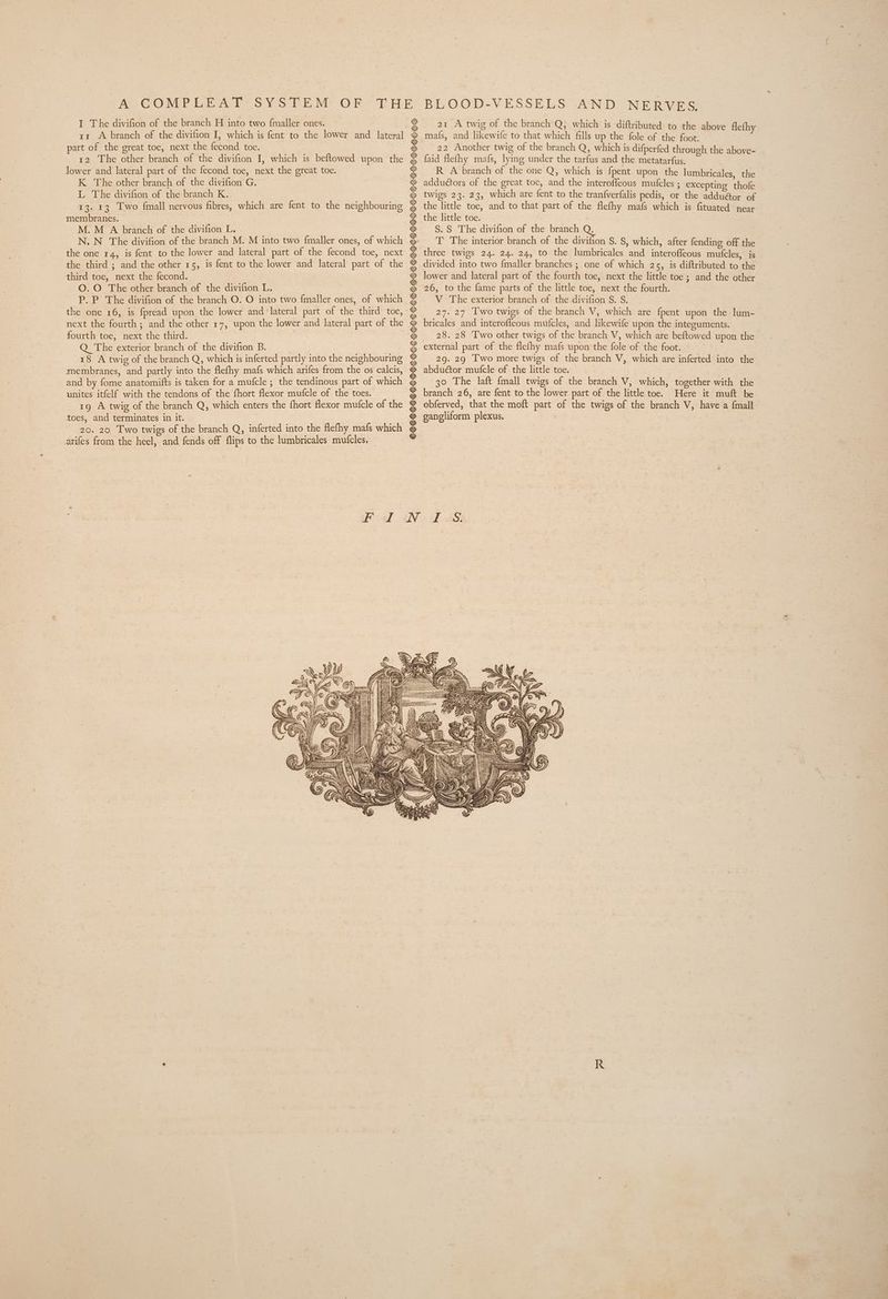 11 A branch of the divifion I, which is fent to the lower and lateral part of the great toe, next the fecond toe. | 12 The other branch of the divifion I, which is beftowed upon the lower and lateral part of the fecond toe, next the great toe. K The other branch of the divifion G. L The divifion of the branch K. 13. 43 Two {mall nervous fibres, which are fent to the neighbouring membranes. M. M A branch of the divifion L. N. N The divifion of the branch M. M into two fmaller ones, of which the one 14, is fent to the lower and lateral part of the fecond toe, next the third ; and the other 15, is fent to the lower and lateral part of the third toe, next the fecond. O.O The other branch of the divifion L. P. P The divifion of the branch O. O into two fmaller ones, of which the one 16, is fpread upon the lower and lateral part of the third toe, next the fourth; and the other r7, upon the lower and lateral part of the fourth toe, next the third. mais, and likewife to that which fills up the fole of the foot. ec ~ 22 Another twig of the branch Q, which is difperfed th 6 faid flefhy mafs, lying under the tarfus and the Lee eo R A branch of the one Q, which is fpent upon the lumbricales. the adduétors of the great toe, and the interofleous mufcles ; excepting tho twigs 23. 23, which are fent to the tranfverfalis pedis, or the addu@or of the little toe, and to that part of the flefhy mafs which is fituated near the little toe. S.S The divifion of the branch Q. T The interior branch of the divifion S. $, which, after fending off the three twigs 24. 24. 24, to the lumbricales and interoffeous mufcles, is divided into two fmaller branches ; one of which 25, is diftributed to the lower and lateral part of the fourth toe, next the little toe ; and the other 26, to the fame parts of the little toe, next the fourth. V_ The exterior branch of the divifion S. S. 27. 27 Two twigs of the branch V, which are fpent upon the lum- bricales and interofleous mufcles, and likewife upon the integuments. 28. 28 Two other twigs of the branch V, which are beftowed upon the Q The exterior branch of the divifion B. = external part of the flefhy mafs upon the fole of the foot. 18 A twig of the branch Q, which is inferted partly into the neighbouring @ = 29. 29 Two more twigs of the branch V, which are inferted into the membranes, and partly into the flefhy mafs which arifes from the os calcis, # abductor mufcle of the little toe. and by fome anatomifts is taken for a mufcle ; the tendinous part of which ~&amp; 30 The laft {mall twigs of the branch V, which, together with the unites itfelf with the tendons of the fhort flexor mufcle of the toes. © branch 26, are fent to the lower part of the little toe. Here it muft be 19 A twig of the branch Q, which enters the fhort flexor mufcle of the # obferved, that the moft part of the twigs of the branch V, have a {mall toes, and terminates in it. . gangliform plexus. , | 20. 20 Two twigs of the branch Q, inferted into the flefhy mafs which ¢ arifes from the heel, and fends off flips to the lumbricales mutfcles. = Foal iN i AS. Ast A HEA HT HST ETUULPOOOOOULL LUST TPAD lt i ‘BA UZI = i HAMA HN CS