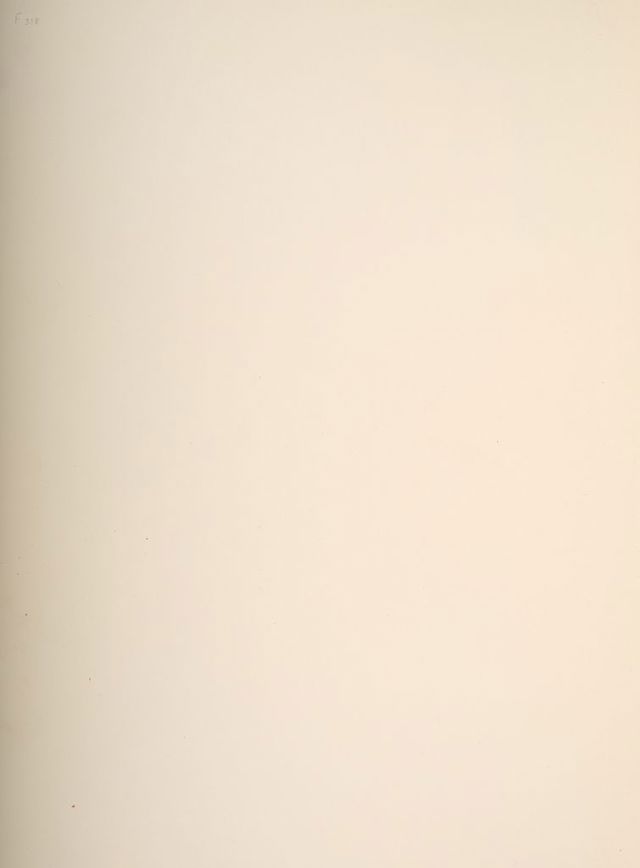 digitised image 2