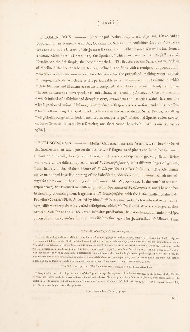 F. TOMENTOSUS. -~-—— Since the publication of my former Fafcicutt, I have had an opportunity, in company with Mr. ConnEA DA SerRA, Of confulüng Orivis ZOGLOGIA Apriatica inthe Library of Sir Joserpu Banks, Bart. That learned Naturalift has formed a Genus, which he calls Lamarkta, the Species of which are two: ift. L. Buzfa *—2d. L. Vermillara.: the firft fimple, the fecond branched. The ftructure of the Genus confifts, he fays, of * pellucid bladders or tubes, + hollow, pellucid, and filled with a tranfparent aqueous fluid, “together with other minute capillary filaments for the purpofe of imbibing water, and dil- * charging the feeds, which are at this period eafily to be diflinguifhed; a flructure in which * thefe bladders and filaments are entirely compofed of a delicate, equable, tranfparent mem- * brane, in texture as in every other effential character, refembling Fucus, and Ulva: a ftructure, * which inftead of diffolving and decaying away, grows firm and hardens: which has not the ** Jeaft portion of animal fubftance, is not endued with fpontaneous motion, and emits no offen- * five fmell on being deftroyed. Its fructification in fine is like that of Genus Fucus, confifting *' of globular congeries of feeds in membranaceous pericarps. Thefecond Species called Lamar- &amp;u Vermillara, 1s Mluftrated by a Drawing, and there cannot be a doubt that it is our FL tomen- tofus. T | F.SELAGINOIDES. ————- :Meffris. Gooprnoucy and Woopwarp have inferted this Species in their catalogue on the authority of fragments of plants and imperfect fpecimens thrown on our coaíft; having never feen it, as they acknowledge in a growing flate. Being well aware of the different appearances of F. Tamari/cifolius § in its different flages of growth, I then had my doubts of the exiftence of F. felaginoides as a Britifh fpecies. The Gentlemen above-mentioned have faid nothing of the imbedded air-bladders in this fpecies, which are al. ways leen previous to the fruiting of the fummits. Mr. Woopwarp, in the courfe of our cor- refpondence, has favoured me with a fight of his Specimens of F. felaginoides, and I have no he- fitation in pronouncing them fragments of F. tamarz/cifolius with the leafits {wollen at the bafe. Profellor Ge in’s Pl. i1. A. called by him F. Abies marina, and which is referred to as a Syno- nym, differs entirely from his verbal defcription, which Meffrs. G. and W. acknowledge; as does likewife Profeffor Esper’s Tab. x x x1, in his late publication; he has delineated an undoubted {pe- cimen of F. tamarifcifolius for it. In my vilit lometime ago to Sir Jose Banxs’s Library, I met * The Alcyonium Burfa of Linn. Bauhin, &amp;c. t *' Una fabrica fimpliciffima di null’ altro compofta che d’nn puro aggregato di otricelli ? cavi, pellucidi, é ripiene d'un fluido trafpareri- * te, aqueo; é€ foltanto munite di altri minimi filamenti capillari deftinati ad afforbire l'aqua, ed a efpellere i femi gia manifettamente ricon- ** nofcibili: una fabrica, in cui quefte parti, tutti uniformi, non fono compofte che d' una membrana fottile, equabile, confiflente, lucida, ** ficca, € perfettamente fimile nel teffuto, é in tutte gl’ altri charatteri a quelle, onde fono formati i Fucui, le Conrerve, él’ Utve: ** una fabrica che, in vece de fpappolarfi, é corromperfe refifte &amp; fi fecca: che non ha la piu piccola portione gelatinofa vivente, &amp; che, pu- “ trifacendofi non da ni odore, ni refiduo animale, e non palefa alcun movimento fpontaneo, una fabrica finalmente, che come le Ar cuz ha i femi globofi, collocate ne’ vaffelini membranofi, componenti tutto il fuo corpo, Olivi Zool. Adriat. p«. 859. * Sce Tab. xir. €, 6, c, c. The Author one would imagine had this figure before him. i Lought juft to notice in this place an error of the Engraver in reprefenting fome dark coloured punctures on the furface of this Species, Pl. viz. Its texture fhould have been delineated fmooth and velvety. Since the publication of the laft Fafciculus, this Species has been deli- neated in Englifh Botany, but nothing is faid of its curious flructure, which was defcribed, Pl, x vir, xx11, and a fummit delineated by me, Pl. xii. c. c. c, previous to that publication, § F.ericoides, Linn, Tr. v. 3. p. 130, with