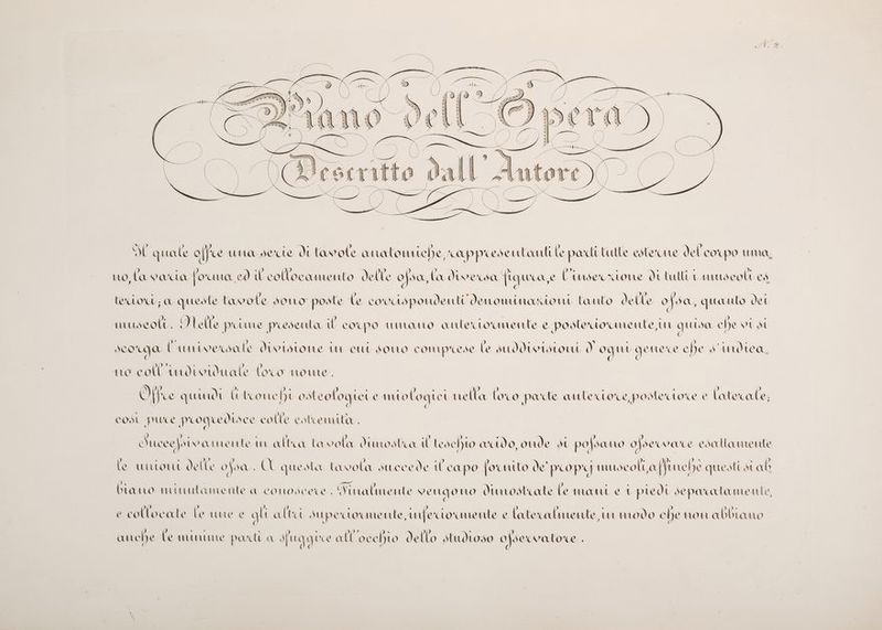 UL quale gljfce una serie dt tavole atratonitehe, cappresentanti le pari tutte coterue del corpo uma ) To) AR 00, | O 9 9, ) rv» i ca PAR, 9} no, la vara | orumoa cd i collocamento delle osa, fa diwersa [iguuca,e Amdserzione di tutti t anuscoli es . . Dr. ,, ) . »® : a . DO ; . tetro; a queste tavole sono poste le co cuspondenti denominazioni tanto delle o | sa, quanto del Da 0) | UÈ, tra, . ( : ì i i | : STE È ; È muscoli. 7telle piume presenta iL corpo umano antetorumente e postero mente, guisa che vt st N Y d DI! . ()   F a ® 9) i . ‘ \ » “ 9) RO A) a scoga | amiversale divistone in cut sono compirese le SuddtwtItONL d ogni genere che s'mbdica. ; Ia To, aria ) ) no coll amdiowuate loco nome. ANL0 Se Da l D, FRE Son. sig D°..p SR DI ) o, Office qu und [Ì U l'one I IU O A CU ologtei CAVO Log LUOCUAI rella lov O podte OUUU Le ‘CLOCe 3 osedtorce e latex (X ( €. CS d od (I . i | A) s )) , ea COSt PI UCe pi So CEVLOCe CO di e estuenuta,. ) ). ae Di: » +0 UL e : ) Ù) | o) uece)oi vamente un al Uua Ta vola A uno sta il Tese h LO acudo, onde SU po] SOLO 0) Se Wa'Ce CdA Ta mente ) : : IP DA | ) So, I » . LE )p» SS o TS le UUULULOTUL de | \ E os (0.02 (X | uesta ta vola SUCCE de tl CU po fox Il uo de' pi Op] nmuutòe ola | Vi uche que SMUSta b ti a TO | coi 9) di P . a . d i mano munutamente AQ CONOSCeCe . 4), imalme ite Ven 4 Oto UU Osta le le MUOWUL e LU pre Ud de pacata MUROZII le, ( .) ) Ji RS, * 7 ; ) > . ) DID» e ott OC ate le Ulte € gl UL | Uou MU pe ‘CULO ‘Me ute,infer LO e nte l {ate colmente a UIL VU L10d O cl ) CC MOT A ObLano ) ) } . . . ‘ ’ ia o anche Te imuume padi a si Ljguee all occhio del lo studioso 0 jserwatore .