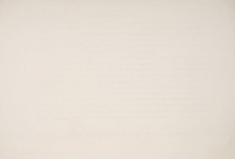 “age “arene + r ha ti LACT