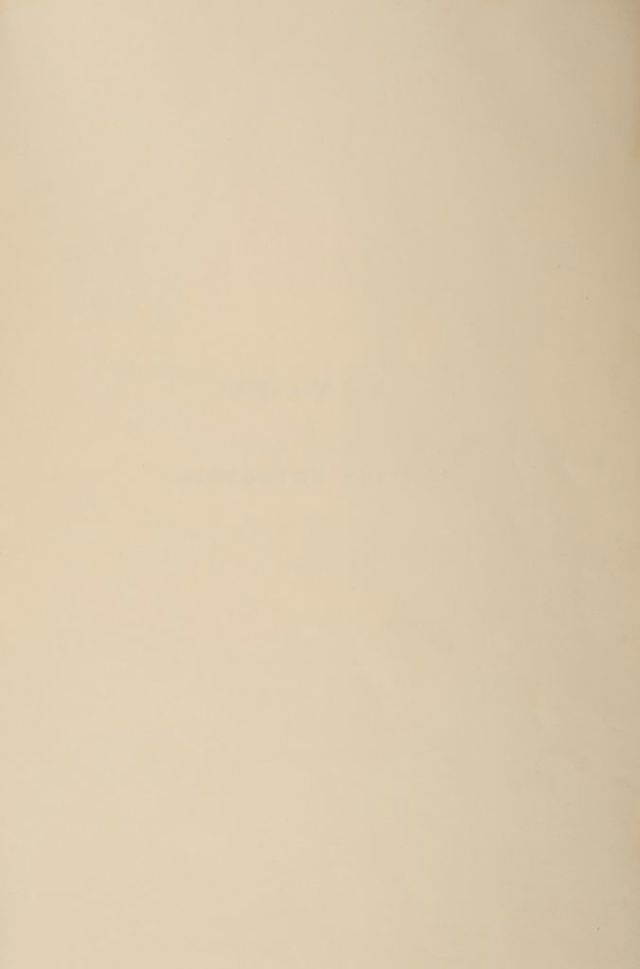 digitised image 3