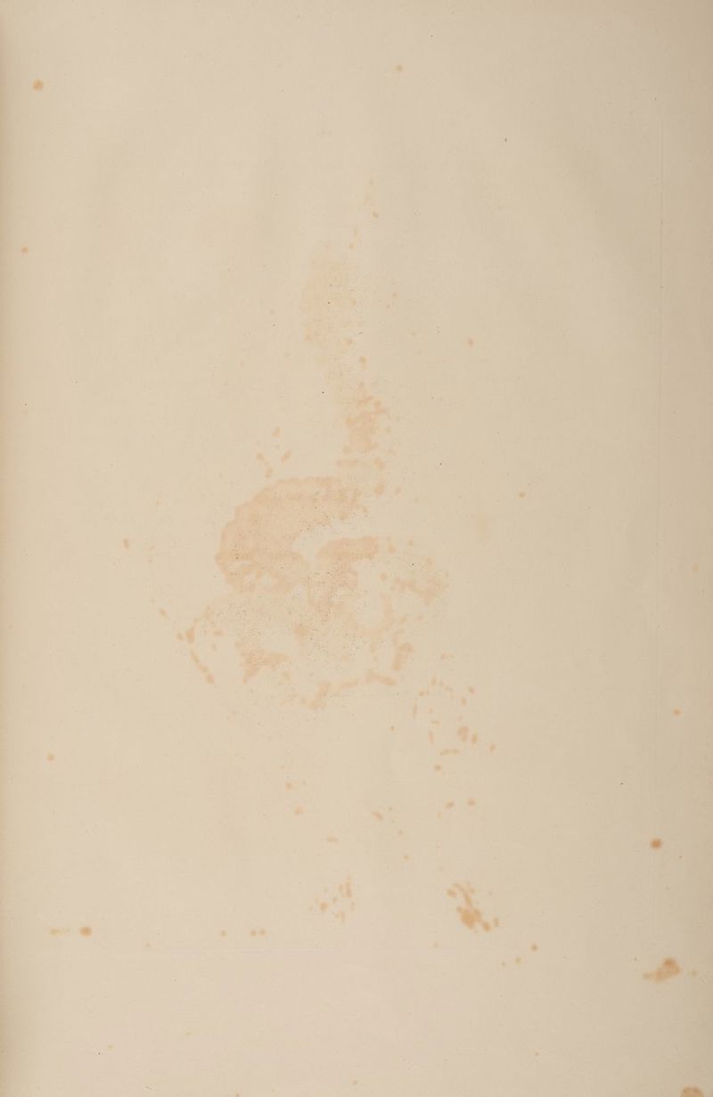 ir