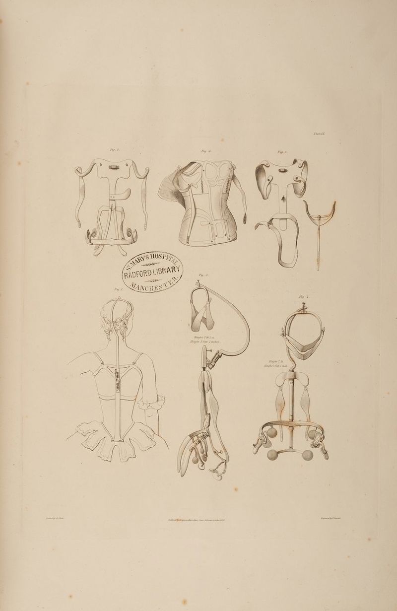 Drawn by d-Shaw. \ \\\ _ A SS WA AW Sleight 3 treet. 7 inches . \\W NW NN =T = PlateVi, Fig 6. eB eS dpa c >: | ) “a eriilive = Engraved by Z Stewart,