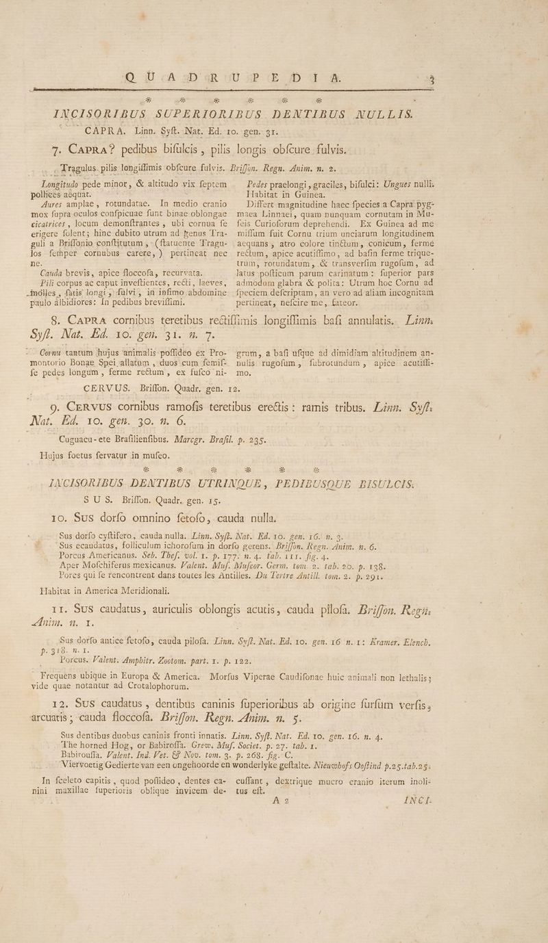 UA MN, FL AULLIS. Longitudo pede minor, & altitudo vix feptem pollices aequat. ; E Aures amplae , rotundatae. In medio cranio mox fupra oculos confpicuae funt binae oblongae cicatrices , locum demonftrantes , ubi cornua fe erigere folent; hinc dubito utrum ad benus Tra- guli a Briffonio conftitutum , (ftatuente Tragu- los femper cornubus carere, ) pertineat nec ne. | - Cauda brevis, apice floccofa, recurvata. Pili corpus ac caput inveftlientes, recti, laeves, .indles , fatis longi, fülvi, in infimo abdomine paulo albidiores: [n pedibus breviffimi. Syfl. Nat. Ed. 1o. gen. 31. m. 7. Cornu tantum ;hujus animalis poffideo ex Pro- montorio Bonae Spei,allatüm , duos cum femif- fe pedes longum , ferme rectum , ex fufco ni- Aat. Ed. 10. gen. 30. m. 6. Pedes praelongi , graciles, bifulci: Ungues nulli Habitat in Guinea. | | Differt magnitudine haec fpecies a Capra pyg- mea Linnaei, quam nunquam cornutam in Mu- feis Curioforum deprehendi. Ex Guinea ad me miflum fuit Cornu trium unciarum longitudinem aequans, atro colore tinctum, conicum, ferme rectum, apice acutiffimo, ad bafin ferme trique- trum, rotundatum , .& transverfim rugofum, ad latus pofticum parum carinatum : fuperior pars admodum glabra & polita: Utrum hoc Cornu ad grum, a bafi ufque ad dimidiam altitudinem an- nulis rugofum , fuübrotüundum , apice acutffi- mo. ramis tribus. Zn. Sv/f. / Hujus foetus fervatur in mufeo. | as * us S US. Briffon. Quadr. gen. 15. Habitat in America Meridionali. «nim. mn. I. / 9. 318. Dar vide quae notautur ad Crotalophorum. tus eít. iubens A 92 INEI: