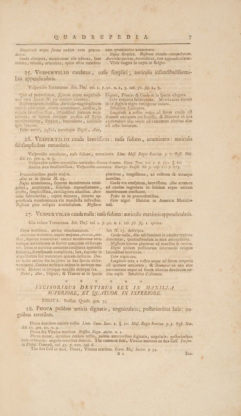 laxe 1nferta , tenuis , fticalata; àpice ultra membra- bus appendiculatis. Quo ad proportionem, Jia ura atque magmnitudi- neij cam fpecie IN. 29. omnino convenit. Roftrum parum obtuftus. Auriculae magnitudinem capitis adaequaánt , ovato-acuminatae , ere&ae , in capitis lateribus fitae, Infundibuli (OMEN men- pit tientes ; in harum .cavitate erectus eft flylus membra anaceus , fimplex, lanceolatus , auriculis fis ii Podes ántidi; pofici, éorümque Digili, lae, fübfimplicibus rotundatis. 4 nam prominente acuminato. Nafus fimplex. | Rofirum obtufo — -rotundatum. Vivit TUS jn copia in Belgio. auriculis infundibuliformi- , 8. tab. 56. fig. 2 Color corporis fübbruneus. . Membranae alarurmi inter digitos nigro variegatae colore. Inhabitat Ceilonam. Longitudo a roftro usque ad pA: cauda eft duarum unciarum cul femiffe, & Diameter ab una extremitate alae usque ad extremum, alterius alae eft octo linearum. nafo foliato , acuminato : auriculis Ed. 10. gen. 4. m. 9. Praecedentibus paulo major. Alae ut in fpecie IN. 23. Nafus acuminatus, faperne membranula trian- gulari, acuminata, foliolum repraefentante , erecta, Gimpliciffima, cartilaginea adauctus. Auri- culae fubrotundae , Cáapite minores, Interne ap- pendicula membranacea vix manifefta inftructae. Rofirum prae reliquis acutiufculum. — My/ffaces Marcgr.-Brafi. lbi 5. vàp. ioi p.215. plurimae , longiffimae , ad roítrum & utrasque maxillas. | Cauda vix confpicua, breviffima. lae attamen ad caudae regionem in folidam atque unitam membranam conflaunt. Pedes üt in praecedentibus. VÉ niger. Habitat in America Meridio: nali. Caput murinum, antice obtufiascalum. Auriculae maximae , capite majores, ovatae , ete- Ciae , fuperne rotundatae: antice membranae utra- rumque auricularum in fronte concretae obfervan- tur. Íntus in cavitate auriculae confpicua appendix ipie a, diverfimode complicata, lata, fuperne in xguftiorem fed truncatum apicem definens. Den. tes nullos anticos feu inciforios in hac fpecie obfer- vare potui. Caninus utrinque unicus in utrisque ma- xilis. Molares in utrisque maxillis utrinque fex. Pedes , lae , Ungués, & Truncus ut in fpecie EU E- eX, x ; ze füb N. 23. defcripta. Cauda nulla , 4Jae nihilominus in caudae regione concretae, quemadmodum in mox antecedente. Myflaces breves plurimae ad maxillas & oculos; Digiti pedum poftlicorum intermedii reliquis lateralibus breviores. Color nigricans. Longitudo tota a roftro usque ad finem corporis eft quatuor. unciarum , & Diameter ab una alae extremitate usque ad finem alteris duodecim une - cias capit. Inhabitat Ceilonam. s 2 zi MAXILLA cuibus teretibus. Ed. 10. gen. TAN. te jatis ordinariis: ungulis teretibus donatis. in Philof. Transad. vuol. 47. f. 120. tab. 6. Vitulus marinus or Sea Cal£. Parfon. B 2 Zea: