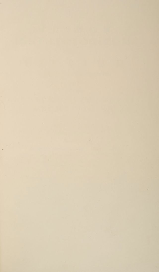 digitised image 3