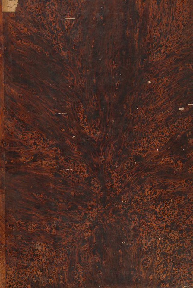 digitised image 1