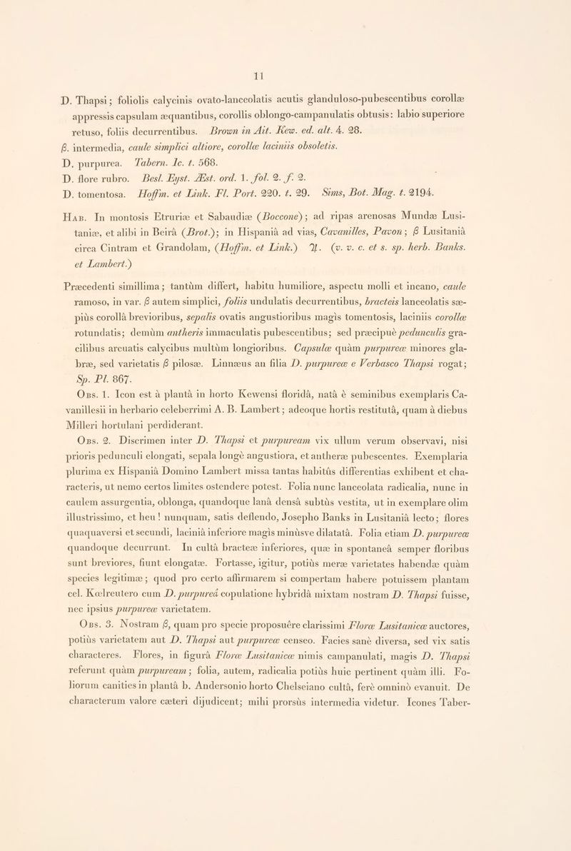 D. Thapsi; foliolis calycinis ovato-lanceolatis acutis glanduloso-pubescentibus corollae appressis capsulam zequantibus, corollis oblongo-campanulatis obtusis: labio superiore retuso, foliis decurrentibus. | Brown ?n Zt. Kew. ed. alt. 4. 29. &amp;. intermedia, caule simplici altiore, corolle laciniis obsoletis. D. purpurea. 7abern. lc. t. 5068. D. flore rubro. Bes/. Eyst. ZEst. ord. 1. fol. 9. f. 2. D. tomentosa. — offm. et Link. Ff. Port. 990. t. 99. Sims, Dot. Mag. t. 2194. Has. In montosis Etrurizee et Sabaudize (Boccone) ; ad. ripas arenosas Mundze Lusi- tanize, et alibi in Beirà (Brot); in Hispanià ad vias, Cavanilles, Pavon; 6 Lusitanià circa Cintram et Grandolam, (Hoff. et Link.) | 0. (v. v. c. et s. sp. herb. Banks. et Lambert.) Precedenti simillima; tantüm differt, habitu humiliore, aspectu molli et incano, caule ramoso, in var. 6 autem simplici, fo/;zs undulatis decurrentibus, bracteis lanceolatis sce- pius corollà brevioribus, sepalis ovatis angustioribus magis tomentosis, laciniis coro//c rotundatis; demüm an£heris immaculatis pubescentibus; sed praecipue pedunculis gra- cilibus arcuatis calycibus multüm longioribus. Capsule quàm purpurec. minores gla- bre, sed varietatis 6 pilosze. Linnzeus an filia D. purpurec e Verbasco Thaps? rogat; Sp. PI. 867. Os. 1. Icon est à plantà in horto Kewensi floridà, natà 6 seminibus exemplaris Ca- vanillesii in herbario celeberrimi A. B. Lambert; adeoque hortis restitutà, quam à diebus Milleri hortulani perdiderant. Oss. 2. Discrimen inter D. Thaps? et purpuream vix ullum. verum observavi, nisi prioris pedunculi elongati, sepala longe angustiora, et antherze pubescentes. Exemplaria plurima ex Hispanià Domino Lambert missa tantas habitüs differentias exhibent et cha- racteris, ut nemo certos limites ostendere potest. Folia nunc lanceolata radicalia, nunc in caulem assurgentia, oblonga, quandoque lanà densà subtüs vestita, ut in exemplare olim illustrissimo, et heu! nunquam, satis deflendo, Josepho Banks in Lusitanià lecto; flores quaquaversi et secundi, lacinià inferiore magis minüsve dilatatà. Folia etiam .D. purpurec quandoque decurrunt. In cultà bractece inferiores, quz in spontaneà semper floribus sunt breviores, fiunt elongate. Fortasse, igitur, potiüs merce varietates habendae quam species legitimze; quod pro certo aflirmarem si compertam habere potuissem plantam cel. Koclreutero cum D. purpureá copulatione hybridà mixtam nostram .D. TAhapsi fuisse, nec Ipsius purpurec varietatem. Ons. 3. Nostram £, quam pro specie proposuére clarissimi ore Lusitanice auctores, potuüs varietatem aut JD. Thaps? aut purpurec censeo. Facies sané diversa, sed vix satis characteres. Flores, in figurà Fore JLusitanice nimis campanulati, magis D. 7haps referunt quàm purpuream ; folia, autem, radicalia potiàs huic pertinent quàm ilh. Fo- liorum canities in plantà b. Andersonio horto Chelseiano cultà, feré omninó evanuit. De characterum valore caeteri dijudicent; mihi prorsüs intermedia videtur. Icones Taber-