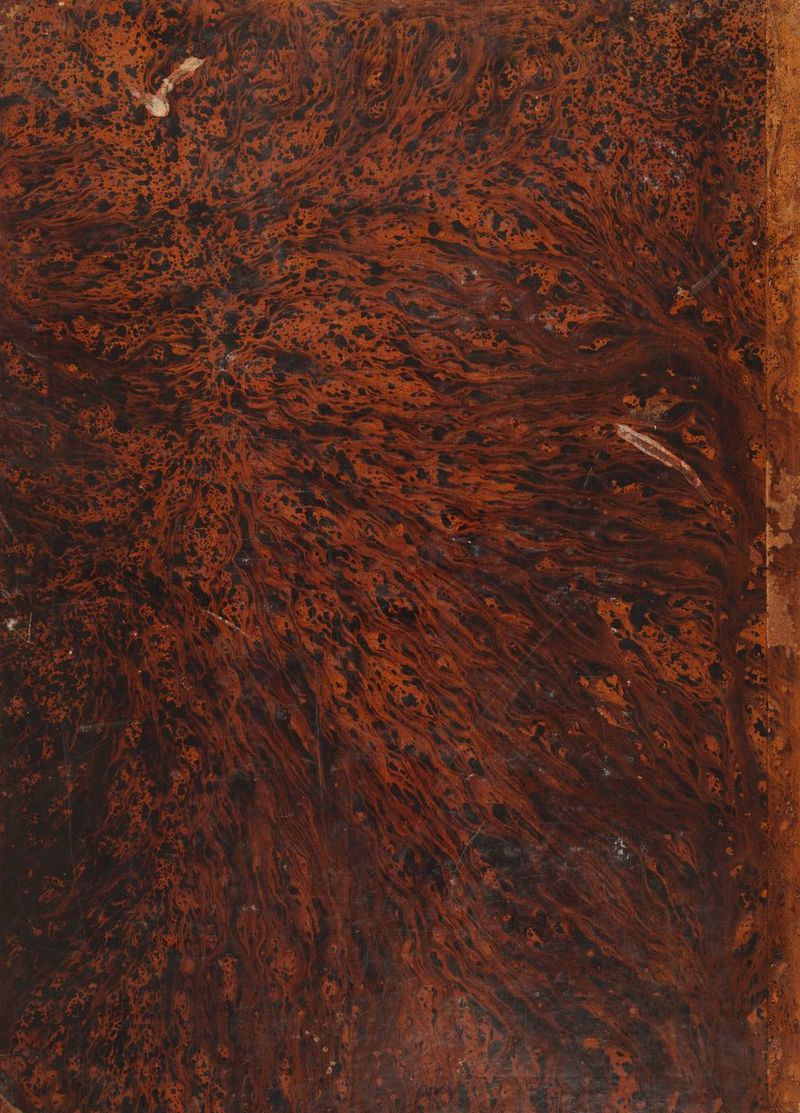 dt N à 7 ie 1  | D » Mo SRL ] AT — -PAE———8 1 BL d e.