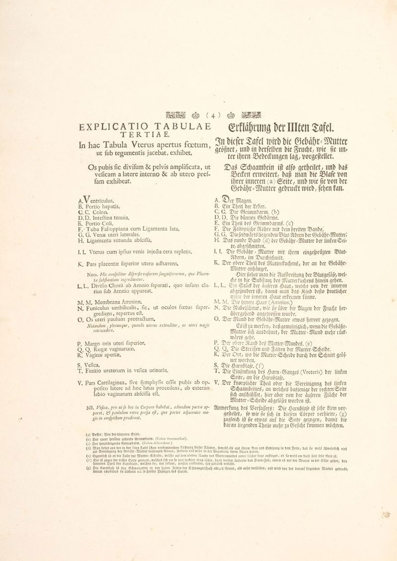 ብ ብ. 1 18 1 In hac Tabula Vterus apertus foetum, Aut በከ tegumentis jacebat, exhibet, Os pubis fic divifum &amp; pelvis amplificata, ut veficam a latere interno &amp; ab utero prel- fam exhibeat. A.V entriculus. B, Portio hepatis, C. C, Colon. D, D, Inteftina tenuia, E, Portio Coli, F. Tuba Falloppiana cum Ligamenta lata, G. G. Veng uteri laterales. H, Ligamenta rotunda abfcifla, I. I. Vterus cum ipfius venis injecta cera repletis, K, Pars placente füperior utero adhærens, Nota. Hic confpilitur difperfio vaforum fanguiferorum, que Placen- te fubflantiam ingrediuntur. L,L. Divifio Chorii ab Amnio feparati, quo infans cla- rius fub Amnio appareat, M, M, Membrana Amnion. N, Funiculus umbilicalis, fic, ut oculos fœtus fuper- egrediens و‎ repertus eft. Notandum , plerumque, quando uterus extenditur, os uteri magis retrocedere. P. Margo oris uteri fuperior, Q. Rugæ vaginarum, R, Vaginæ apertæ, S. Vefica, T, Finitio ureterum in vefica urinaria, V. Pars Cartilaginea, five fymphyfis offis pubis ab op- pofito latere ad hoc latus procedens, ab externo labio vaginarum abſciſſa eft, NB, Vefica, pro ut fe boc in Corpore habebat , admodum parva ap- paret, &amp; paululum retro preſſa eft, quo partes adjacentes ma- gis in conſpectum prodirent. (a) Beer: Von der hinteren Seite. (b) Der queer heruͤber gehende Grimmdarm. (Colon transuerfum). (e) Der herabſteigende Grimmdarm. (Colon deſcendens) In dieſer Tafel wird die Gebaͤhr-Mutter geoͤfnet, und in derſelben die Frucht, wie ſie un⸗ ter ihren Bedeckungen lag, vorgeſtellet. Das Schaambein iſt alſo getheilet, und das Becken erweitert, daß man die Blaſe von ihrer inneren (a) Seite, und wie ſie von der Gebaͤhr-Mutter gedruckt wird, ſehen kan. , Der Magen. Ein Theil der Leber. C. Der Grimmdarm. (b) ድ Die duͤnnen Gedärme. (sa + in Theil des Grimmdarms. (c) F. Die Fallopiſche Roͤhre mit dem breiten Bande. 3. G. Die ſeitwaͤrts liegenden Blut⸗Adern ber Gebähr- Mutter. H. Das runde Band (d) der Gebaͤhr⸗Mutter der linken Sei- te, abgeſchnitten. l Adern, im Durchſchnitt. K. Der obere Theil des Mutterkuchens, der an der Gebaͤhr⸗ Mutter anhaͤnget. Hier ſiehet man die Ausbreitung der Blutgefäfe, wel- che in die Subſtanz des Mutterkuchens hinein gehen. L. L. Ein Stuͤck der aͤuſeren Haut, welche von der inneren abgeſondert iſt, damit man das Kind deſto deutlicher unter der inneren Haut erkennen koͤnne. M. M. Die innere Haut (Amnios.) | N. Die Nabelſchnur, wie fie über die Augen der Frucht ber: uͤbergehend angetroffen wurde. O. Der Mund der Gebaͤhr-Mutter etwas hervor gezogen. Es iſt zu merken, daß gemeiniglich, wenn die Gebaͤhr⸗ Mutter fid) ausdehnet, der Mutter⸗Mund mehr rück warts gehe. Der obere Rand des Mutter⸗Mundes. (e) Q. Q. Die Streifen und Falten der Mutter⸗Scheide. K. Der Ort, wo die Mutter⸗Scheide durch den Schnitt geoͤf— net worden. | Die Harnblaſe. (f) „Die Einſenkung des Harn⸗Ganges (Vreteris) der linken Seite, an die Harnblaſe. V. Der knorplichte Theil oder die Vereinigung des linken Schaambeines, an welches dasjenige der rechten Seite fib anſchluͤſſet, hier aber von der aͤuſeren Fläche der Mutter « Scheide abgelöfet worden ift, Anmerkung des Verfaſſers: Die Harnblaſe ift ſehr klein vor- geſtellet, fo wie fie fid) in dieſem Coͤrper verhielte, (g) zugleich iſt ſie etwas auf die Seite gezogen, damit die daran liegenden Theile mehr zu Geſicht kommen moͤchten. P 8 F darum empfinden ſie alsdenn ein ſo ſtarkes Draͤngen des Harns. us Cae ba Ani