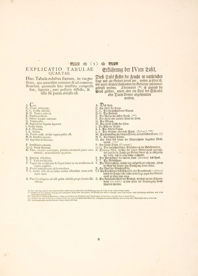 መ o | N イン VE CU i. ቃ LXPLIGATIO- TABULAE QUARTAE. Hæc Tabula exhibet fogtum, in via po- fitum, qua naturaliter emittitur &amp; ad common- ftrandum quomodo hzc inteltina comprefla fint, fuperior, pars pectoris diſſecta, &amp; 01115 Ilii portio abfcifla eft. Cor. Portio pulmonis. . C. Cofte diſſectæ. . D. Tunica adipoſa. Papillæ pectoris. Partes hepatis externæ. . Ventriculus, | . Superficies hepatis fuperior. . Pedes fœtus, . K. Placenta, L. Colon. . Portio re&amp;i, ut fub vagina pofita eft, N. N. Inteftina tenuia. O. Ingreflus in Cecum, ZE TR P. Inteftinum caecum, Q. (3. Venæ Uterinæ. R. Pars, os uteri nominata, partum emittendi gratia adeo extenía, ut tenuiſſimia appareat, S. Amnion abſciſſum. T. T. Vafa umbilicalia. V. Vagina hic confpicitur &amp; Caput foetus in via tranfitoria, &amp; vagina expanía, X, Portio mufculorum abdominalium, Y. Y. Incifio offis ilii ut foetus melius oftenditur circa orifi- cium uteri. Z. Pars Cartilaginea ab offe pubis abíciffa prope locum Di- vifionis. Erflährung der IVten Tafel. Dieſe Tafel fellet die Frucht in natürlicher Lage und zur Geburt bereit vor, wobey zu ſehen iſt, wie unter ſolchen Umſtaͤnden die Gedaͤrme zuſammen⸗ gedruͤkt werden. Oberwaͤrts (*) ift zugleich die Brut aedfnet, unten aber ein Theil des Schaufel oder — abgeſchnitten worde ቀ A. Das Herz. B. Ein Theil der Lunge. | C. C. Die durchſchnittenen Rippen. D. D. Die Fetthaut. Die Warze der linken Bruſt. (”*) Der aͤuſere oder vordere Rand der Leber. Der Magen. Die untere Flaͤche der Leber. Die Fuͤße der Frucht. „K. Der Mutterkuchen. L. Der Grimm- oder dicke Darm. (Colon.) (***) . Die Einfenfung ber duͤnnen Därme, in den blinden Darm. CT) N. Die duͤnnen Darme, qui Ein Theil des hinter der Mutterſcheide liegenden Malt: darms. (TT) Der blinde Darm (Coecum.) i Q. Die durchſchnittenen Blutadern in der Gebaͤhrmutter. Derjenige Theil, welcher der innere Muttermund genennet, und jego da die Frucht zur Geburt bereit ift, fo ausgedaͤh⸗ net wird, daß ſie ganz duͤnne erſcheinet. S, Der Durchſchnitt der inneren Haut (Amnios) des Eyes. T. T. Die Nabelſchnur. | HA V. Die Mutterſcheide, welche bier ausgedaͤhnet erfcheinet, indem der Kopf der Frucht zum Durchgang bereit ſtehet. X. Ein Theil der Bauchmuſkeln. | | LY. Ein Durchſchnitt des e Darmbeines, (os ilium,) damit die Frucht deſto beßer in der Lage gegen den Mutter⸗ mund zu ſehen ſeyn moͤge. Z. Der knorplichte Theil des Beckens, welches an dem Schaam⸗ beine (os pubis) in dem Orte der Vereinigung durch⸗ ſchnitten worden. CLOSE © Z f U の の (*) Da in der Figur nicht der obere Theil der Bruſt, ſondern nur der untere oben in der Zeichnung zu fehen ift, fo hat es alfo muͤßen úberfezet werden. (**) Sowohl hier als in mehreren vorherigen und nachfolgenden Stellen ſolte man glauben, der Verfaſſer habe weder die Sprache, deren er fid) bedienet, noch auch dasjenige verſtanden, was in den Zeichnungen vorgeſtellet wird. (+) Eigentlich der aufſteigende Grimmdarm, welchen man uͤberhaupt zur Vermeidung einer Zweydeutigkeit mit dem Ileum, den dicken Darm benennen koͤnnte. | (T) Es könnte aber auch ein Theil der in mehreren Tafeln hier angegebenen Fallopiſchen Röhre ſeyn, unmöglich aber wird der Maſtdarm eben fo wenig als bie Mutterſcheide hier zu ſuchen ſeyn. (TT) Sehr unrecht würde man das Ende der duͤnnen Daͤrme bieber ſezen.