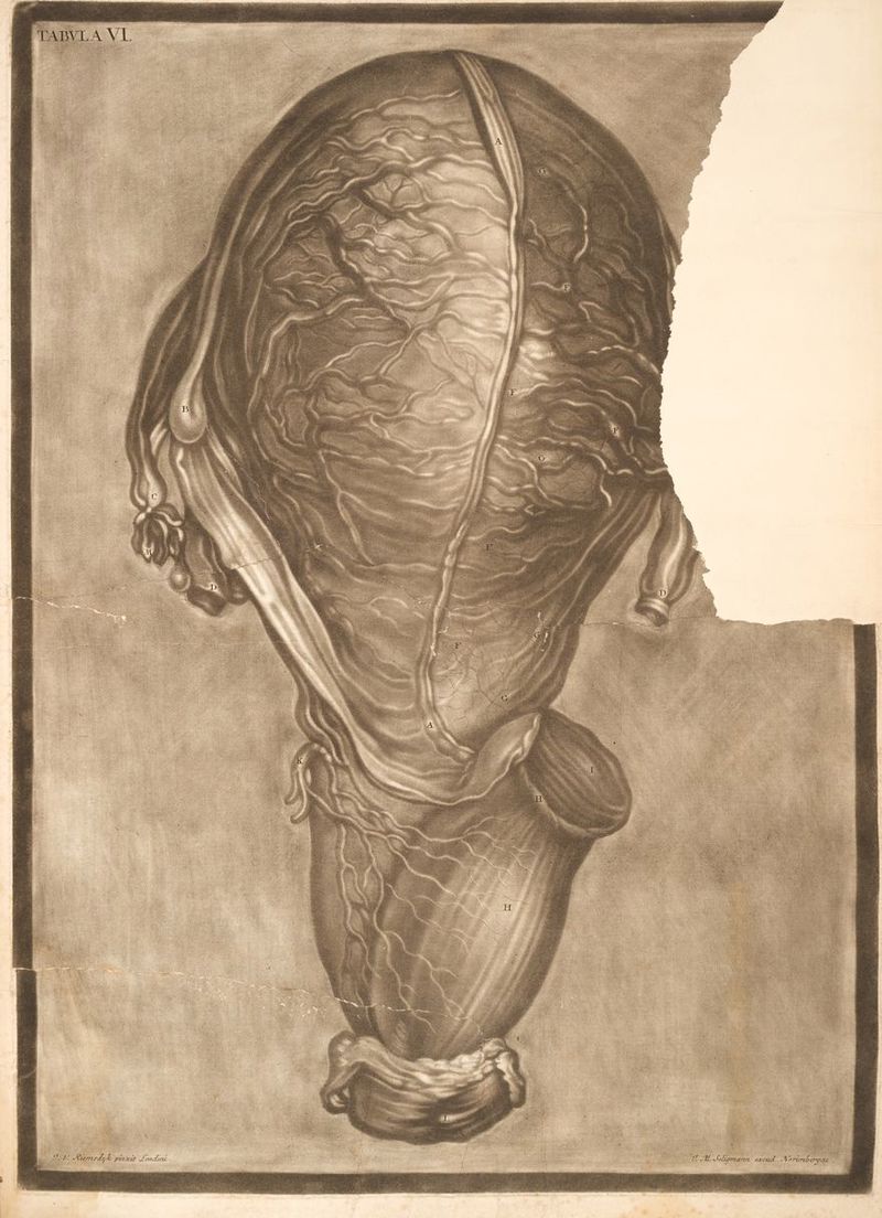 LOL a Y CM SIDA MAX S S JA ዮሩ RR NON RR