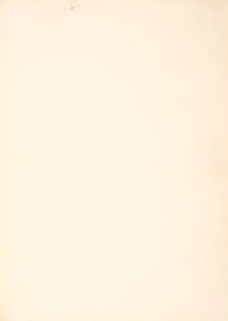 B % © 3 | ይ e „a ፦ ወ © n» i る 9 = A N e e = LJ A * SN 3 5 sá N ks - + ሉ * 3 . NE * A 0 ih 5 = በ M ( 2 + 0 3 ፦ u nA ,. + + m » € RE. - N . [ 5 4 ያ 0 N ወሙ y - 9 a = E P * H - LI በ , = N 4 EI LI e A N i s o 8 N D  a LL u B a i a. 0 © Cw 3 y z | „> bre E par > e ^ im^ ኒ # 4 % «d a Pa“ a ê id LJ LI 9p 4 1 i < LI Lm 4 i >», E i uf W T e 9 | መ. 2 LA © + °. Ja ፖፓቻ 5) LA ad d 1 n a © â € i » © - 9 + JAL > 3 N ስ | m I. A“ # LA E | Mamy v A o She? N © m N ቃ 2534 | اديه‎ aa © 0 N N e N ። LI * * i UN 1  8 9 WI - 0 s * ፻ s m 4 j E E i . ' 0 . 3 1 4 . i ዮ ወ  と $ - . - LI ድ E ©