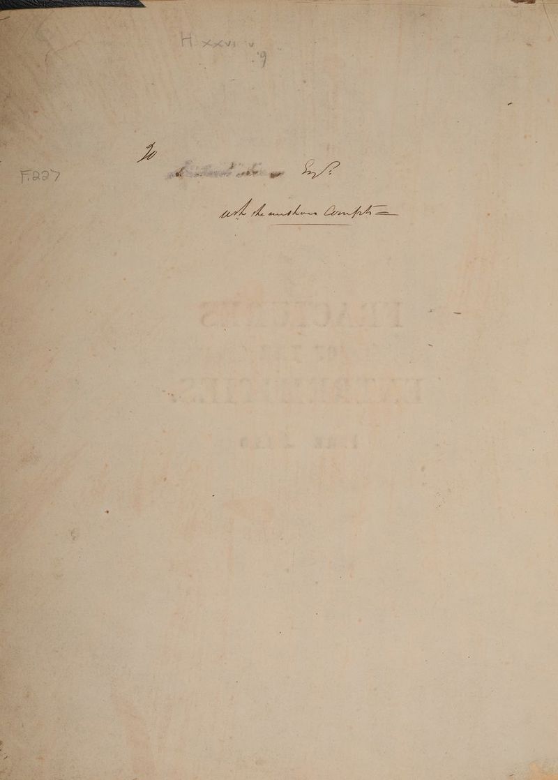 ae ae ee c > ' f } rd y ¢ ? , - ~ ‘ \