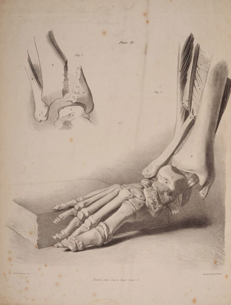 % y os f AOS % | . Q , » nN aN &amp; , Spee = | eS \ S : S | . . N . ‘ &amp; < S ee . — N > S A | N ~ 5 § ’ »