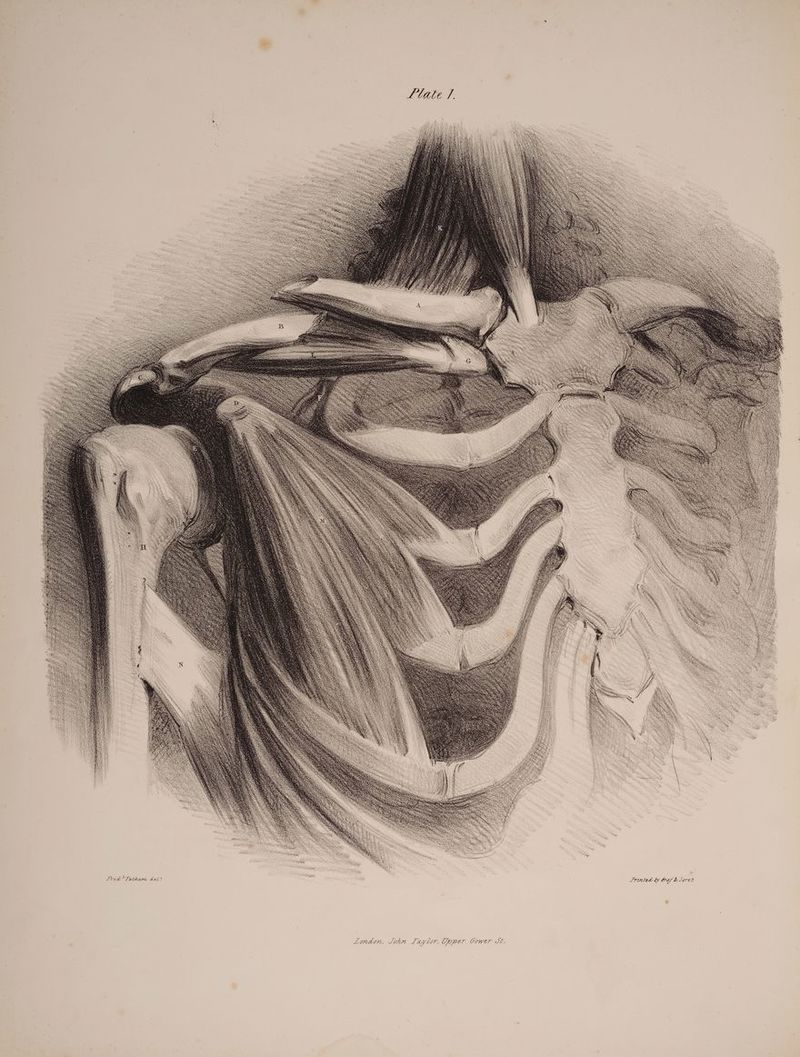 4 &amp; Soret oy SLronted by Fred ”*Tatham del? Lonwon, Sohn Lay lor, oper Gower IC.
