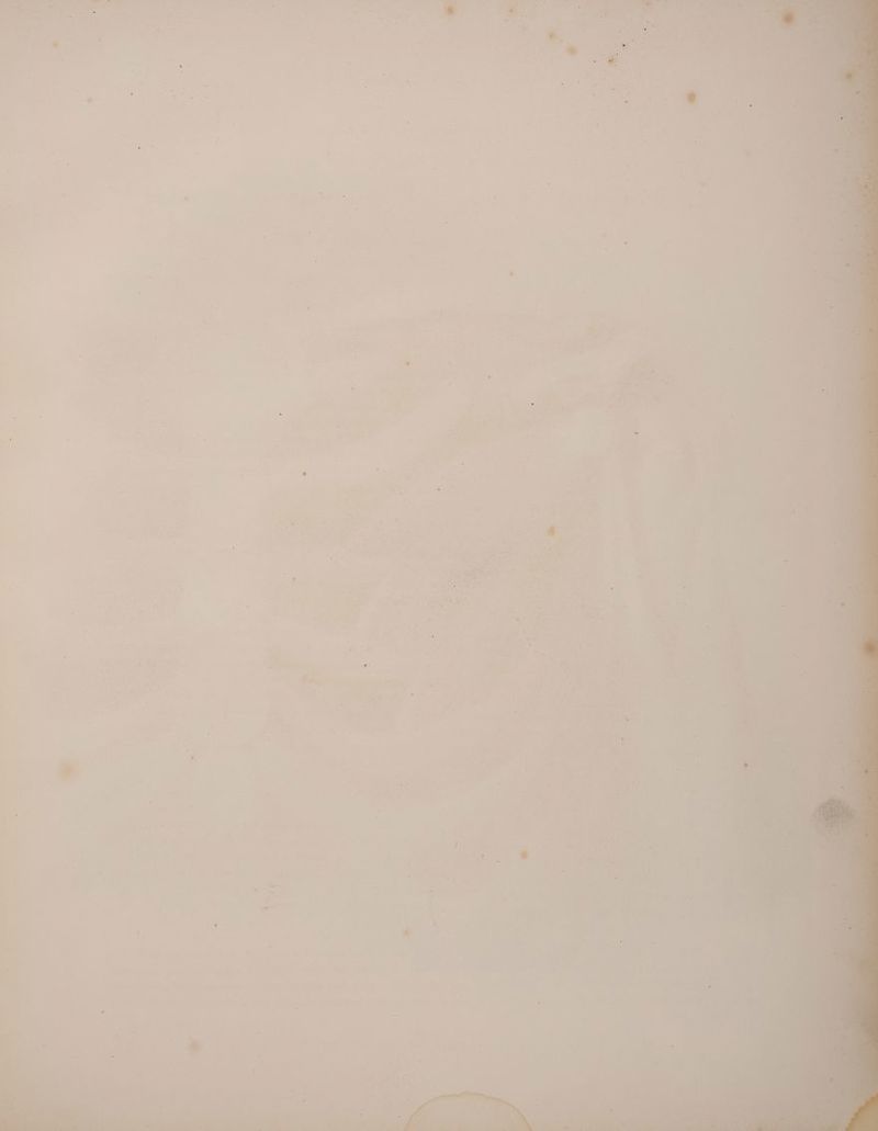 ‘ ‘ “ ‘ 9 ® + é - , oe _ - 4 E “ > 7 1s n « * J foe = oa ‘ *  : = 7 iM * ai . > ee - 4 _ ’ 4 ie s Py ' A q € See A Z © — : MM os ‘ bal rf . * f t ; ‘ . y ~ 7 2 j ~ 7 E : : * : ’ Coes . ' « ° . ‘ ’ PB = ‘ +. a + . r , . ‘ ' / +f i s ° . - “ . ‘ 4 sort 7 ’ ‘  ' * : 5 le ey > a i. oS a“ a age Pay e . Piva bey ein f = a ; 7 ae 1 . .  a oe ie ‘es ; % a ” + . ‘ . * s . * oo 2 ‘ ; * ‘ 3 . tk y # x ~ oi J ' “ - \ . N ‘ . ‘ ,s i ‘ rea ‘ Peer bs t ,; F . . s + ¥ a re ” ated? Le Lf tp von ro ww kay * + 4 : a ' : + PS) it