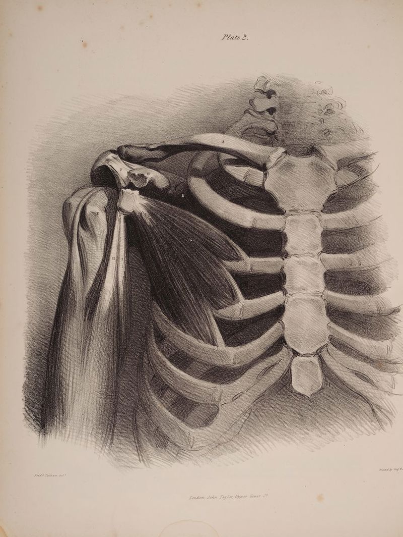 - Lrea” Tatham “el? Emiorn, Jopmn Lilo, Goer Ciwer 2: