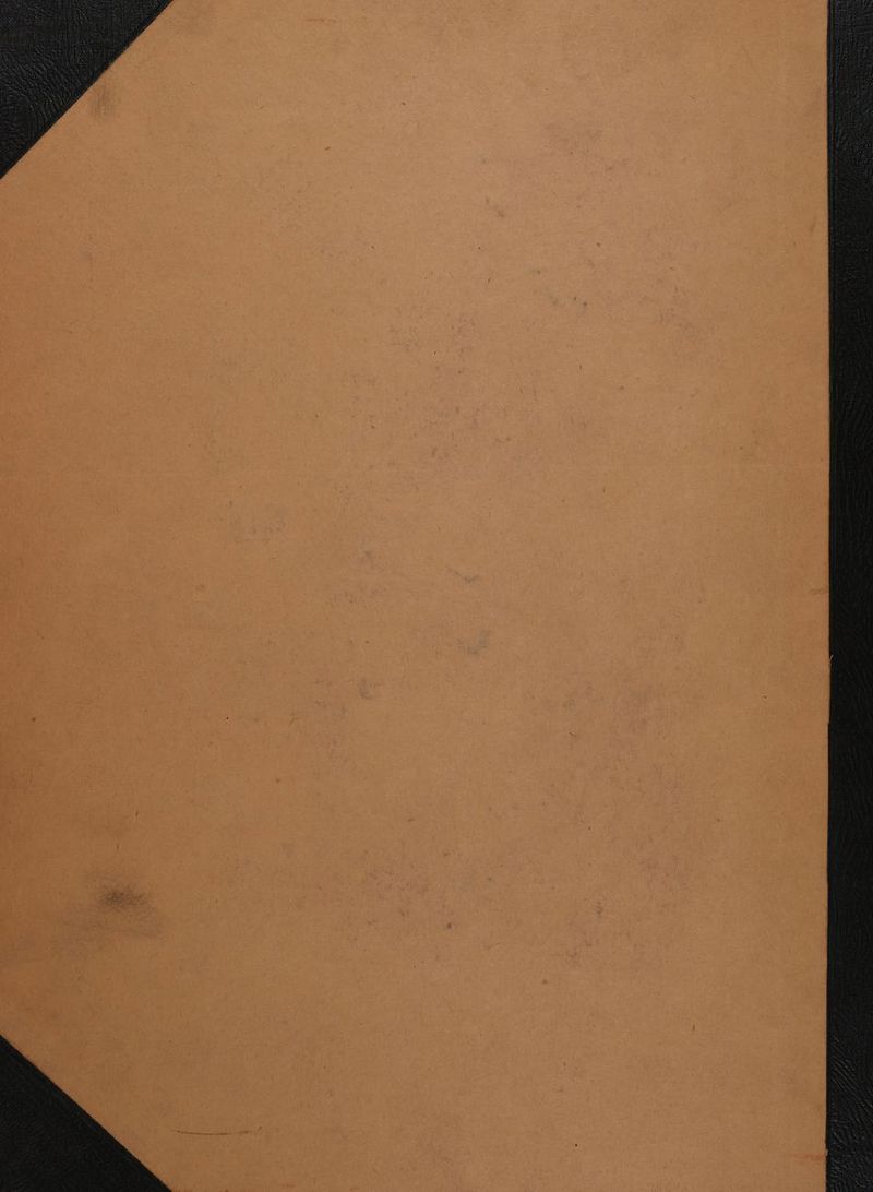 “~. ~ “ ba] aS Wa a