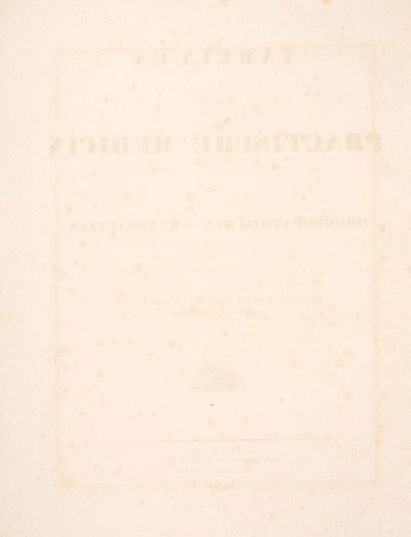 x ” * ra ABM. er amhumun wsına RR R ze. u va