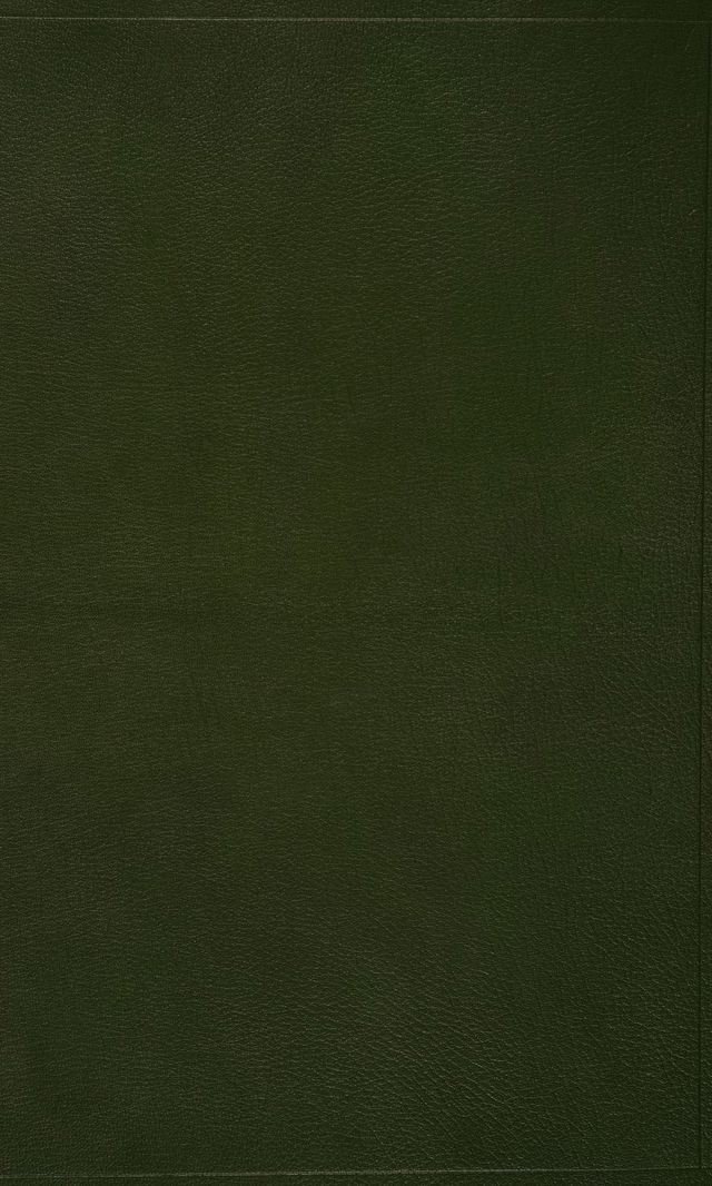 digitised image 3