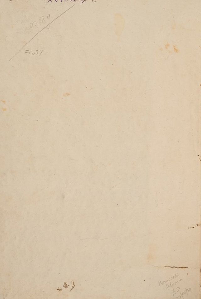 digitised image 2