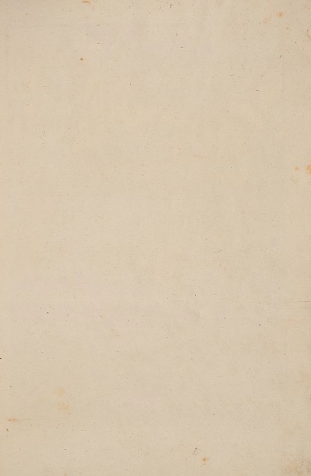 digitised image 3