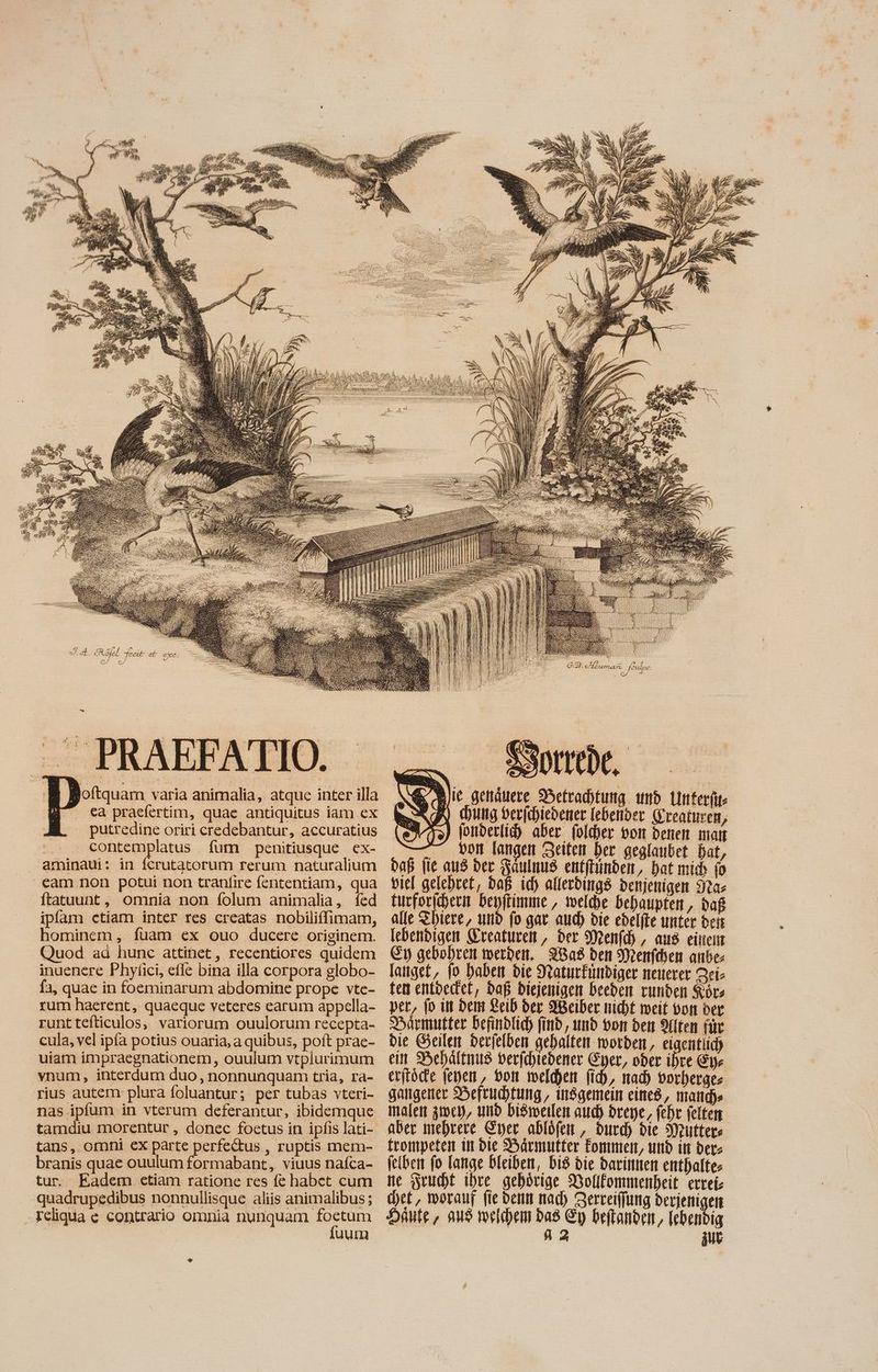 oftquam varia animalia, atque inter illa . €a praefertim, quae antiquitus iam ex —. putredine oriri credebantur, accuratius -:.-. . contemplatus fum penitiusque ex- aminaui: in ferutatorum rerum naturalium eam non potui non tranfire fententiam, qua ftatuunt, omnia non folum animalia, fed ipfam ctiam inter res creatas nobiliffimam, hominem, fuam ex ouo ducere orisinem. Quod ad hunc attinet, recentiores quidem inuenere Phyfici, efle bina illa corpora globo- fa, quae in foeminarum abdomine prope vte- rum haerent, quaeque veteres earum appella- runttefticulos, variorum ouulorum recepta- cula, vel ipfa potius ouaria, a quibus, poft prae- uiam impraegnationem, ouulum vtplurimum ynum, interdum duo, nonnunquam tria, ra- rius autem plura foluantur; per tubas vteri- nas ipfum in vterum deferantur, ibidemque tamdiu morentur , donec foetus in ipfis lati- tans, omni ex parte perfectus , ruptis mem- branis quae ouulum formabant, viuus nafca- tur. Eadem etiam ratione res fe habet cum quadrupedibus nonnullisque aliis animalibus ; reliqua e contrario omnia nunquam vem | uum ee 17277. za. ie genauere Betrachtung umd Lmterfir- chung verichiedener Iebender Frenturen, jonderlid) aber folcher bom denen matt ^. vom langen Zeiten ber geglaubet bat, daß fie aus ber Faulmus entftünden, bat mid» fo viel gelehret, daB ich allerdings denjenigen Sa» furforfhern bepftimme , welche behaupten, daß alle Thiere, und fo gar aud) bie ebelfte unter bei lebendigen Freaturen, ber Menfch, aus einen Ey gebohren werden. Was den Menfdsen anbe- langet, fo haben die Naturfindiger neuerer Zei- ten entdedet, daB Diejenigen beeden runden Sore per, fo in Dem Leid der Weiber nicht weit von der Darmutter befindlich find, und von den Alten für bie Geile derjelben gehalten worden, eiaentiid) ein Behältmus berfd)tebener Eyer, oder ihre Eyr erftód'e jenen, von meldet fi, mad) vorherge- gangener Befruchtung, insgemein eines, made malen arc), und bisweilen aud) dreye, fehr felten aber mehrere Eyer ablöfen , burd) bie Writters frompeten in die Bäarmufter Eonımen, und in bere jelben fo Tange bleiben, Di$ die darinmen enthalte ne ruht ihre gehörige Wollfommenheit errei- (bet, worauf fie denn nad) Zerreiffung derjenigen Haute, and weichem bas Ey beflanden,, Iebendig 82 aub 1 ü #