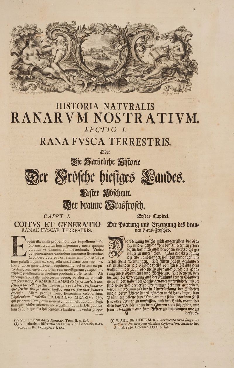 CAPFTNL COITVS ET GENERATIO RANAE FVSCAE TERRESTRIS. adem illa animi propenfio , qua impellente infe- ctorum Scrutatus fum ingenium , ranas quoque curatius vt examinarem me incitauit. Variae de generatione earundem innotuere fententiae. Credidere veteres, oriri ranas tam fponte fua, e limo paluftri, quam ex congreffu ranae maris cum foemina. Recentiores generationem aequiuocam, vel ortum ex pu- tredine, reiicientes, curiofius rem inueftigarunt, atque hinc triplex potiffimum in medium producta eft fententia. Ait incomparabilis ille, infe&torum aeque, ac aliorum animali- um fcrutator,SWAMMERDAMMIVS (a),completli ma- [culum foemellae petkus, duobus fuis bracchiis, perfundere- que femine fuo per anum emi[jo, oua per femellae podicem exci[a. Aliam prorfus fouet fententiam celeberrimus Lipfienfium Profeffor FRIDERICVS MENZIVS (2), qui priorem illam, quin nouerit, nullum eft dubium : legit namque obferuationem ab acutiffimo de HEIDE publica- tam (c ), in qua illa ipfa fententia fimiliter his verbis propo- nitur (a) Vid. ciusdem Biblia Naturae. Tom. Il. p. 808. _ (6) Vid. eiusdem Differtatio cui titulus eft: Generatio narA- fEt(tes Lapitel. ie Yaarına und Erzeugung bed Dau PT 2 eb inn 3 £ ie Neigung welche mich angetrieben Die Staa fur und Eigenfhafften ber Infecten zu erforz chen, bat mid) aud) bewogen, bie Sröfche ges nauer zu unterfüd)en, Bas die Erzeugung derfelben anbelanget, fo finden wir davon uns terfchiedene Meinungen. Die Alten haben yi es entftünben bie Grofd)e tbeil8 oon fich felbit aus bent Schlamm ber Sumpfe, Ir aber auch Durch bie 3Daas rung cines Männleins und Weibleins. Die Vrenern, bey welchen bie Erzeugung aus Der Zäaulnug keinen Slauben mehr findet; Haben bie Sadje genauer unferfüchet, und da find fonderlich breperlen Meinungen befannt geworden. Swammerdamm (2) ber in Unterfuchung ber Infecten und anderer Thiere feines gleichen nicht bat , faget , das Männlein pflege das YOciblein mit feinen pordern Sup fen, oder Armen zu umfaffen, und den Laich, wann foiz den das Weiblein aus dem Hintern von fid giebt, mit feinem Saamen aus dem Affter zu befprengen und zu A befrud (c) V. ANT. DE HEIDE M. D. Experimenta circa fanguinis mifleonem &c. accedunt eiusdem Ob/eruationes medicae &c,