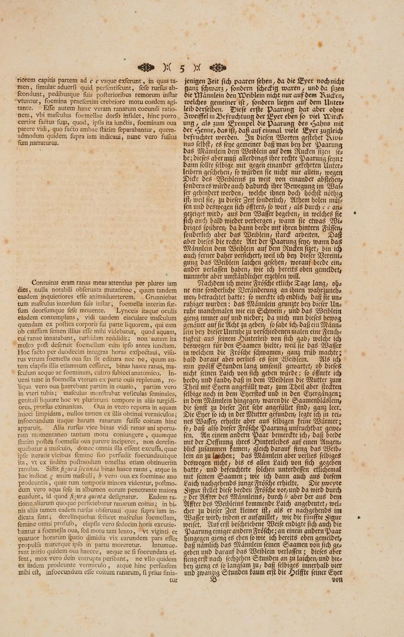 riorem capitis partem ad c c vsque exferunt , in quas ta- men, fimulac aduerfi quid perfentifcunt, fefe rurfus ab- feondunt, pedibusque fuis pofterioribus remorum inftar *vtuntur, foemina praefertim crebriore motu eosdem agi- tante. — Effe autem hanc veram ranatum coeundi ratio- certior factus fum, quod, ipfis ita iunctis, foeminam oua parere vidi, quo facto ambae ftatim feparabantur, quem- admodum quidem fupra iam indicaui, nunc vero fufius fum narraturus. | | 9 Contuitus eram ranas meas attentius per plures iam dies, nulla notabili obferuata mutatione , quum tandem easdem inquietiores efle animaduerterem. ^. Grunniebat tum mafculus interdum fuis inftar, foemella interim fur- fum deorfumque fefe mouente. ^ Lynceis itaque oculis eäsdem contemplans, vidi tandem eiaculare mafculum quendam ex poftica corporis fui parte liquorem, qui eam ob cauffam femen illius effe mibi videbatur, quod aquam, cuiranae innatabant, turbidam reddidit; non autem ita multo poft deferuit foemellam cum ipfo antea iunctam. Hoc facto per duodecim integras horas exfpectaui, vifu- rus vtrum foemella oua fua fit editura nec ne, quum au- tem elapfis illis etiamnum ceffaret, binas hasce ranas, ma- ^ fculum aeque ac foeminam, cultro fubiecianatomico. In- ueni tunc in foemella vterum ex parte ouis repletum, re- liqua vero oua haerebant partim in ouario, partim vero in vteri tubis; mafculus monftrabat veficulas feminales, genitali liquore hoc vt plurimum tempore in aliis turgidi- ores, prorfus exinanitas. ^ Oua in vtero reperta in aquam inieci limpidam, nullos tamen ex illis obtinui vermiculos; infoecundum itaque harum ranarum fuiffe coitum hinc apparuit. Alia rurfus vice binas vidi ranas ani apertu- ram momentaneo tantum motu coniungere , quumque ftatim poftea foemella oua parere inciperet, non derelin- . quebatur a mafculo, donec omnia illa effent excuffa, quae ipfe iteratis vicibus femine fuo perfudit foecundauitque ia, vt ex iisdem poftmodum tenellas etiam obtinuerim ranulas. Siftit figura fecunda binas hasce ranas , atque in hac indicat x anum mafculi, b vero oua ex foeminae ano prodeuntia, quae tum temporis minora videntur, poftmo- dum vero aqua fefe in albumen eorum penetrante maiora euadunt, id quod fisura quinta defignatur. ^ Eadem ra- tione aliarum quoque perficiebatur ranarum coitus; in bi- nis aliis tamen eadem rurfus obferuaui quae füpra iam in- dicata funt; derelinquebat fcilicet mafculus foemellam, femine omni profufo, elapfis vero fedecim horis excutie- bantur a foemella oua, fed motu tam lento, ^ vt viginti et quatuor horarum fpatio dimidia vix earundem pars effet propulfa materque ipfo in partu moreretur. Intumue- rant initio quidem oua haecce, aeque ac fi foecundata ef. fent, mox vero dein corrupta peribant, ne vllo quidem . ex iisdem prodeunte vermiculo, atque hinc perfuafum mihi eft, infoecundum efle coitum ranarum, fi prius finia- tur jenigen Zeit fid) paaren feben, da die f£yer nod) nid;t ganz fchwarz , fondern fchedig waren, und da fisen die YTannlein den Weiblein nicht nur aufdem Aucden, welches gemeiner ift, fondern liegen auf dem Inter leib derfelben. Diefe erfte Paarung bat aber ohne Sweiffel ín Befruchtung der Hyer eben fo viel Wirk ung, ale zum Hrempel die Paarung des Hahnıs mit der Senne, das ift, Gy einmal viele $£yer zugleich) befruchtet werden. Sn Diefen Worten geftehet Kiviz nus felbft, c8 fepe gemeiner Daß man bey der Paarung Das Männlein bem 2Beiblein auf Dem Studien figen fez dann follte felbige mit gegen einander gefehrten luterz leibern gefchehen, fo miden fie nicht nur allein, wegen Dicke des Weibleing zu weit, von einander abfteben fondernesmwurde aud) Dadurch ihre Bewegung im Wafz fer gehindert werden, welche ihnen bod) hschft nöthi ift; weil fie, zu biefer Zeit fonderlich, Athem holen nut fen und deswegen fich öfters, (o weit , aI8 Durch c c ans YA wird, aus bem Waffer begeben, in welches fie id) auch bald wieder verbergen , wann fie efimas Wis Driges fpuhren, ba Dann beede mit ihren hintern Siue fonderlicd) aber das Weiblein, ffarc£ arbeiten, Da aber biefe$ bie rechte Dirt ber Paarung feye, wann bas Maännlein bem Weiblein auf dem Miucken fiset; bin ich auch ferner Daher verfichert, weil ich bey Diefer 2Gereiniz gung Das Weiblein laichen gefehen, toorauf beede ein; ander verlaffen haben, mie id) bereits oben gemeldet; nunmehr aber umftändlicher erzehlen will, | ‚Nachdem id) meine Sröfche efliche Tage lang, obz ne eine fonderliche Veränderung anihnen wahrzunehs men, betrachtet batte: fo merckte ich endlich, bafi fie uns ruhiger wurden: Das Männlein grunzte bey Diefer Un: ruhe manchmalen wie ein Schwein, unb das XBeiblein gieng immer auf unb nieder; Da mid) mun Diefes bemog aenáuer auf fie Acht zu geben, fo fabe id); baf ein Manns lei bey Diefer Unenhe zu verfchiedenen malen eine Feuch- tigkeit au8 feinem Hinterleib von fid) gab, welche ich deswegen für den Saamen biete, weil fie Das Warfer in welchem bie Sröfhe (damen, ganz trüb machte; bald Darauf aber verlies es fein ABeiblein. — 9[I8 id) nun zwölf Stunden lang umfonft gewarfet; ob Diefeg nicht feinen Laich von fid) geben wurde: fo öffnete id) beede, und fande, Daß in dem WBeiblein die Mutter zum Theil mit Eyern angefullt war, um Theil aber. (tediten felbige nod) t bem (perftod und in ben es in bem Männlein hingegen, toaren bie Saamenblaslein, bie fonft zu Diefer Zeit febr angefullet find, ganz leer, Die Eyer fo id) in der Mutter gefunden, legte ich in tei nes 2Baffer, erhielte aber aus felbigen Feine Würmer; fo, is alfo diefer Sröfhe Paarung unfruchtbar gemwes fen, ln einem andern Daar bemerdte ich, Daß beede mit der Deffnung ihres Jointerleibe8 auf einen Dngen- bli zufammen famen, gleich Darauf fieng das WBeib- [cir an zu leiden; Das Mannlein aber verlies felbiges Deswegen richt, bi8 e8 allen Laich von fíd) gegeben hatte, unb befeuchtete foldyen unterdeffen eflichemal mit feinem Caamen ; wie id) dann aud) aus Diefem £aid) nad)gebenb8 junge Fröfche erhielte. Die svoeyte Sigur ftellet Diefe beeden Sröfche oor, unb ba wird Durch ber Affter des Männleins, Durch b_ aber ber aus dem ffter de8 Weibleing Eommende Laich angedeutet, wel- cher zu Diefer Zeit Heiner ift, al8 er nadgebenbs int 9'Gaffer wird, indem er aufquillet, mie Die fünffte Sigur focifet, 9luferft befchriebene Beife enbigte fid) aud) bie aarung einiger andern Srófd)e; an einem andern Paar ingegen gieng e8 eben fo wie id) bereits oben gemeldet, aß namlich bas Männlein feinen Saamen von fid) ges eben und Darauf Das XBeiblein verlaffen ;_ diefes aber eng erft nad). fechzehen Stunden an zu Iaid)en, und biez bey gieng e8 fo langlam zu, daß felbiges innerhalb vier und zwanzig Stunden Faum erft Die Helffte feiner Eyer | | | von