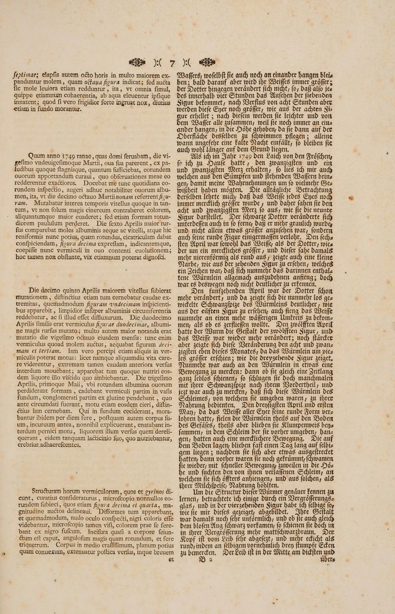 feptiiaes elapfis autem octo horis in multo maiorem ex- panduntur molem , quam otfaua figura indicat; fed aucta fic mole leuiora etiam redduntur, ita, vt omnia fimul, quippe etiamnum cohaerentia, ab aqua eleuentur ipfique innatent; quod fi vero frigidior forte ingruat nox, diutius etiam in fundo morantur. | Quum anno 3749 ranae, quas domi feruabam, die vi- gefimo vndeuigefimoque Martii, oua fua parerent , ex pa- ludibus quoque ftagnisque, quantum fuüfficiebat, eorundem ouorum apportandum curaui, quo obferuationes meae eo redderentur exactiores. Docebat me tunc quotidiana eo- rundem infpectio, augeri adhuc notabiliter ouorum albu- men, ita, vt die decimo octauo Martii nonam referrent fisu- ram. Mutabatur interea temporis vitellus quoque in tan- tum, vt non folum magis cinereum contraheret colorem, aliquantumque maior euaderet; fed etiam formam rotun- diorem paululum perderet. Die fexto Aprilis maior rur- fus comparebat moles albuminis aeque ac vitelli, atque hic reniformis nunc potius, quam rotundus, cicatriculam dabat confpiciendam, figura decima exprefiam, indicantemque, coepiíle nunc vermiculi in ouo contenti euolutionem; hoc tamen non obftante, vix etiamnum poterat dignofci. Die decimo quinto Aprilis maiorem vitellus fübierat mutationem , diftinctius etiam tum cernebatur caudae ex- tremitas, quemadmodum figuram undecimam infpicienti- bus apparebit, limpidior infuper albuminis circumferentia reddebatur, ac fi illud effet diffluxurum. Die duodecimo Aprilis fimilis erat vermiculus firurae duodecimae, albumi- ne magis rurfus mutato; multo autem maior notanda erat mutatio die vigefimo octauo eiusdem menfis: tunc enim vermiculus quoad molem auctus, aequabat figuram Zeci- mam et feríiam. lam vero percipi etiam aliquis in ver- miculis poterat motus: licet namque aliquamdiu vita care- re viderentur, extremam tamen caudam anteriora verfus interdum mouebant; apparebat tum quoque nutriri eos- dem liquore illo vifeido quo ambiebantur. Die trigefimo Aprilis, primoque Maii, vbi rotundam albumina ouorum perdiderant formam , cadebant vermiculi partim in vafis fundum, conglomerati partim ex glutine pendebant , quo ante circumdati fuerant, motu etiam eosdem cieri , diftin- ctius iam cernebam. Qui in fundum ceciderant, mora- bantur ibidem per diem fere , poftquam autem corpus fu- um, incuruum antea, nonnihil explicuerant, enatabant in- terdum pernici motu, liquorem illum verfus quem dereli- querant, eidem tanquam lacticinio fuo, quo nutriebantur, crebrius adhaerefcentes, Structuram horum vermiculorum, quos et gyrinos di- cunt, curatius confideraturus , microfcopio nonnullos eo- rundem fubieci, quos etiam figura decima et quarta, ma- gnitudine auctos delineaui. Difformes tum apparebant, et quemadmodum, nudo oculo confpecti, nigri coloris effe videbaüitur, microfcopio tamen vifi, colorem prae fe fere- bant ex nigro fufcum. Inceifura quafi a corpore feiun- &um eft caput, angulofüm magis quam rotundum, et fere triquetrum. Corpus in medio craffiffimum, planum potius quam conuexum, extenuatur poftica verfus, inque breuem | et MWafferg; mofelbft fie auch nod) an einander bangen bleis ben; bald darauf aber wird ihr XBeiffes immer gröfferz ber Dotter hingegen verändert fid) nicht, fo, daß alfo jes des innerhalb vier Stunden bas 3Infcben der fiebenden Sigur befommef, evi Rerflu8 von acht Stunden aber werden biefe Eyer nod) gröfler, wie aus der achten Sis ut erhellet ; nach biefem toerben fie leichter und von dem Waffer alle zufammen; toeil fie - immer an ein« ander hangen, in Die Möhe gehoben, ba fie Dann auf der Dberfläche desfelben zu fchtwimmen, pflegen ; alleine wenn ungefehr eine Falte Nacht einfällt, fo bleiben fie aud) wohl länger auf dem Grund liegen. 1 Als (d) im Jahr 1749 den faíd) von den Fröfchen; fv ih zu Haufe hatte, Den iamiam unb ein unb jmanjtgften Merz erhalten, fo lies id) mir aud) welchen aus den Sumpfen unb flehenden Waffern brine gen, Damit meine re um fo vielmehr Ges wißheit haben mogfen, Die alltägliche Betrachtun Derfelben lehrte mich, Daß das Weifle jedes Eyes noch immer merdtid) gröffer wurde ; unb Daher e fie den adt und zwanzigiten Merz fo aus, tote fie Die neunte Siqur Daritellet. Der fehwarze Dotter veränderte fid) unterbeffen auch in fo ferng daß er mehr graulid) wurde, und nicht allein etwas groffer anzufehen war, fonberm auch feine runde Sigur einigermaffen verlohr. Den fed)a ften April war fotvobI Das NBeiffe, als Der Dotter, wies der um ein mercliches geöffer , unb diefer fahe damals mehr Hec als rund aus; zeigte aud) eine Eleine Narbe, wie aus Der zehenden Sigur zu erfehen, welches ein Zeichen war, daß fid) nunmehr das Darinnen enthals fene. Würmlein a auszudehnen anfieng; Doch toar c8 Deswegen noch nicht Deutlicher zu erkennen. Den, funfgehenden April war der Dotter fchon mehr verändert, und da zeigte fid) die nunmehr Io8 gez micelte Schwanzfpize des Würmleins deutlicher , wie aus der eilften Sigur n erfebery aud) fieng bas 29ciffe nunmehr an einen mehr mäflerigen Umfreis zu befone men, als ob e8 zerflieffen wollte. Den zwölfften Aprik batte der Wurm die Gieffalt ber zwölften Sigur ‚und Das SGeiffe war wieder mehr verändert; nod) flärcker aber zeigte fich biefe Weränderung den acht und zwar zigften eben Diefes Monafes, da das 2Burmlein um viez les gröffer erfchien; wie Die drepzehende Sigur zeigef, Summer war aud) an ben. Wurmlein in efivas eine Bewegung zu merden: dann ob fie gleich eine Zeitlang ganz [ebfo8 fchienen, fo fchlugen fie Doch menchmalen mit ihrer Schwanzfpize nad) ihrem Wordertheil, und jest war auch zu merden; Daß fid) Diefe Wurmlein des Schleimes, von welchem fie umgeben waren, zu ihrer Nahrung bedienten, Den brepftaffen April und eriten May, da das Weiffe aller Eyer feine runde Form vers Iohren hatte, fielen die 2B1rmlein theils auf den Boden Des Gefäfes, fbeil8 aber blieben fie Klumpenmeis beys fammen, in dem Schleim der fie vorher umgeben, han gen; haften aud) eine merdlichere Bewegung. Die auf En Boden lagen; blieben af einen Tag lang auf felbiz em liegen 5 nad)ben fie fid) aber eftwas ausgejtredee atten Dann vorher waren fie nod) gefrummt, (manet ie wieder; mit fdneller Bewegung; zumeilen ın Die oz e unb fuchten den von ihnen verlaflenen Schleim; an welchem fie fich öffters anhiengen, und aus folhen, als ihrer Miüchfpeife, Nahrung boblten. b Um bte Structur diefer Würmer genäuer Fennen zu lernen, betrachtete ich einige durd) ein Vergröfferungs: glas, und in der viersehenden Sigur habe ich felbige fo, wie fie mir Diefes gezeiget; abgebildet, Ihre Geftalt war banal v (cbr unformlich, unb ob fie auc) gleich bem blofen Zug fchwarz oorfamen; fo fehienen fie bod) in in ihrer_ Vergröfferung mehr maftfchwargbraun, Der Kopf ift vom Leib febr abgefezt, und mehr edicht alg rund, indem an P vornehmlid) Drey fTumpfe Ecken zu rn er £eib ift in der Mitte am bidften und 2 fibers